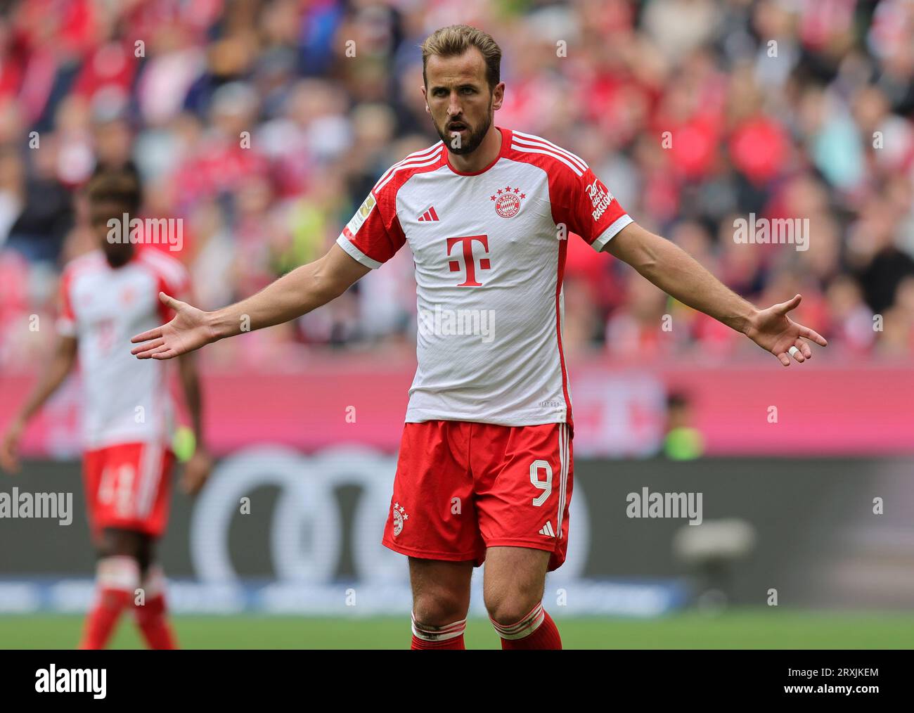 Harry Kane du FC Bayern Muenchen FC Bayern Muenchen vs VFL Bochum Fussball 1.Bundesliga saison 2023/24 5. Spieltag Allianz Arena 23.09.2023 © diebilderwelt / Alamy stock Banque D'Images