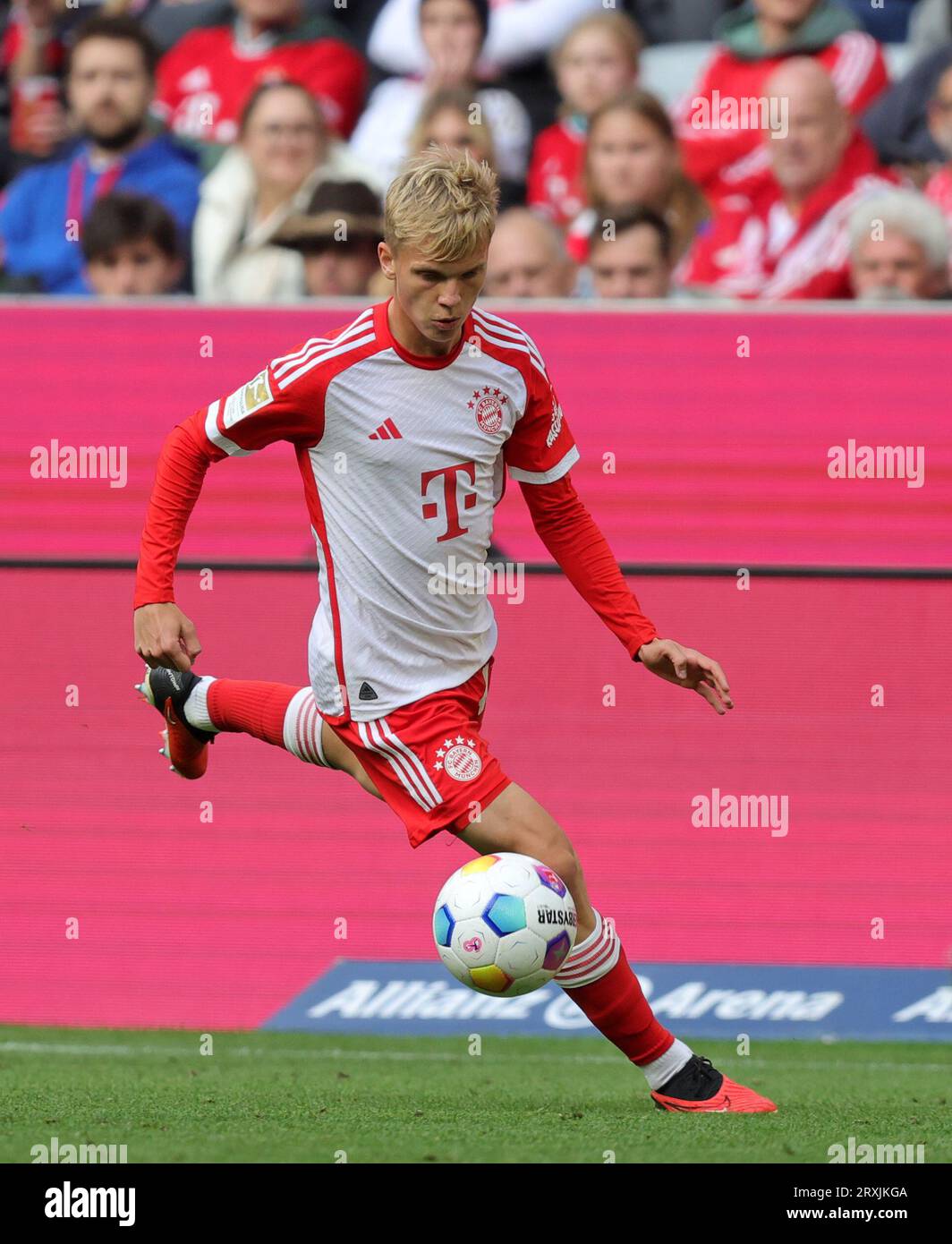 Frans Kraetzig du FC Bayern Muenchen FC Bayern Muenchen vs VFL Bochum Fussball 1.Bundesliga saison 2023/24 5. Spieltag Allianz Arena 23.09.2023 © diebilderwelt / Alamy stock Banque D'Images