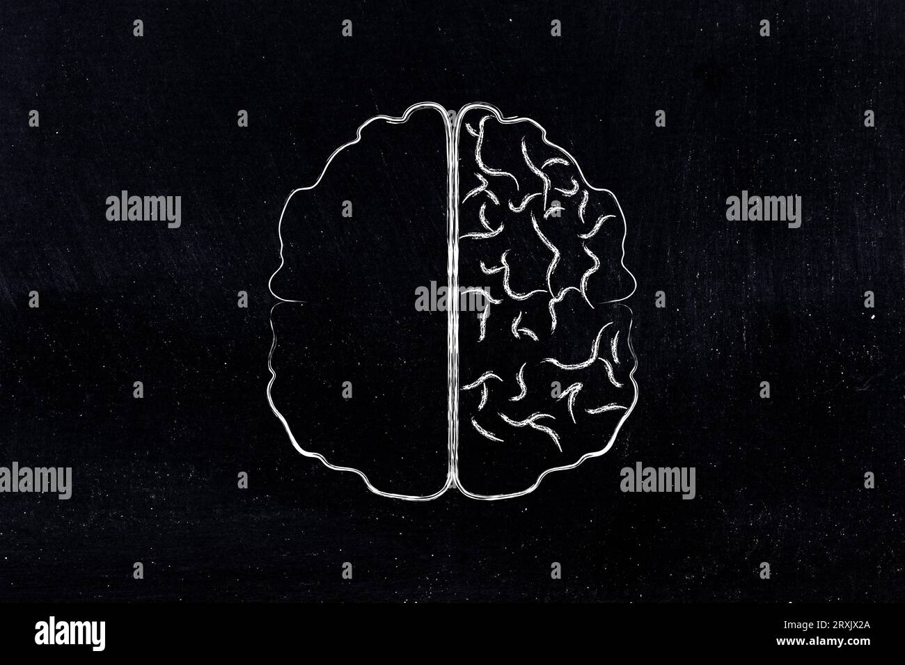 illustration du cerveau avec le côté gauche vide et le côté droit avec le cortex Banque D'Images