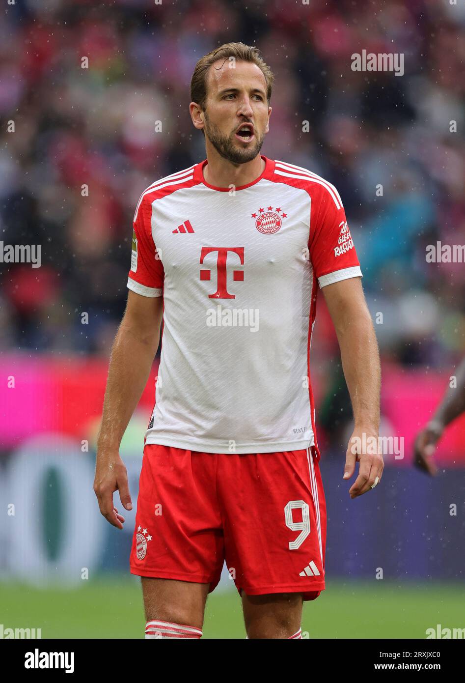 Harry Kane du FC Bayern Muenchen FC Bayern Muenchen vs FC Augsburg Fussball 1. Bundesliga saison 2023/24 2. Spieltag 27.08.2023 Allianz Arena © diebilderwelt / Alamy stock Banque D'Images