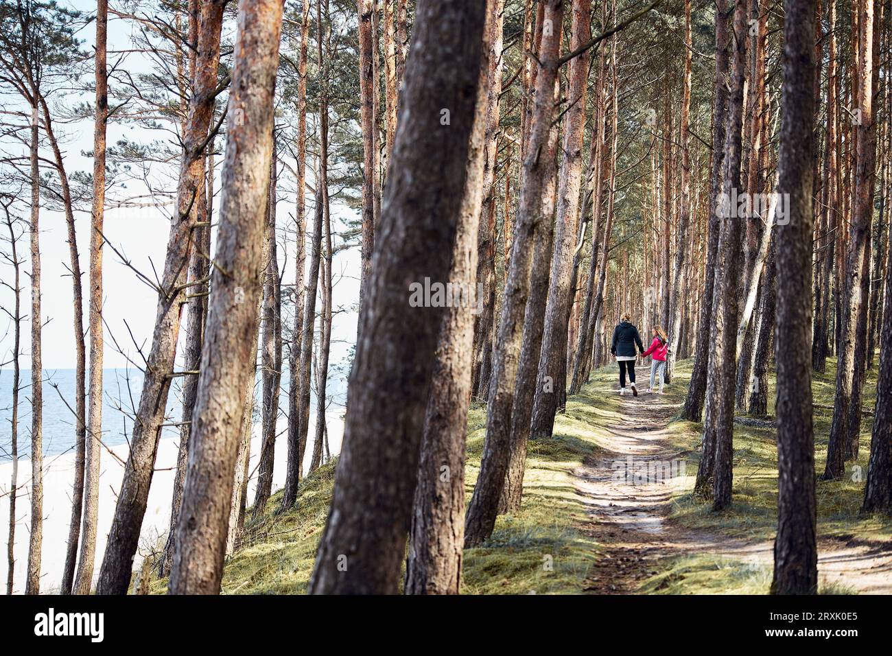 Famille marchant dans la forêt le long de la mer. Passer des vacances en mer. Voyage d'été. Profitez de votre temps libre. Temps de loisirs proche de la nature. Concept de voyage Banque D'Images