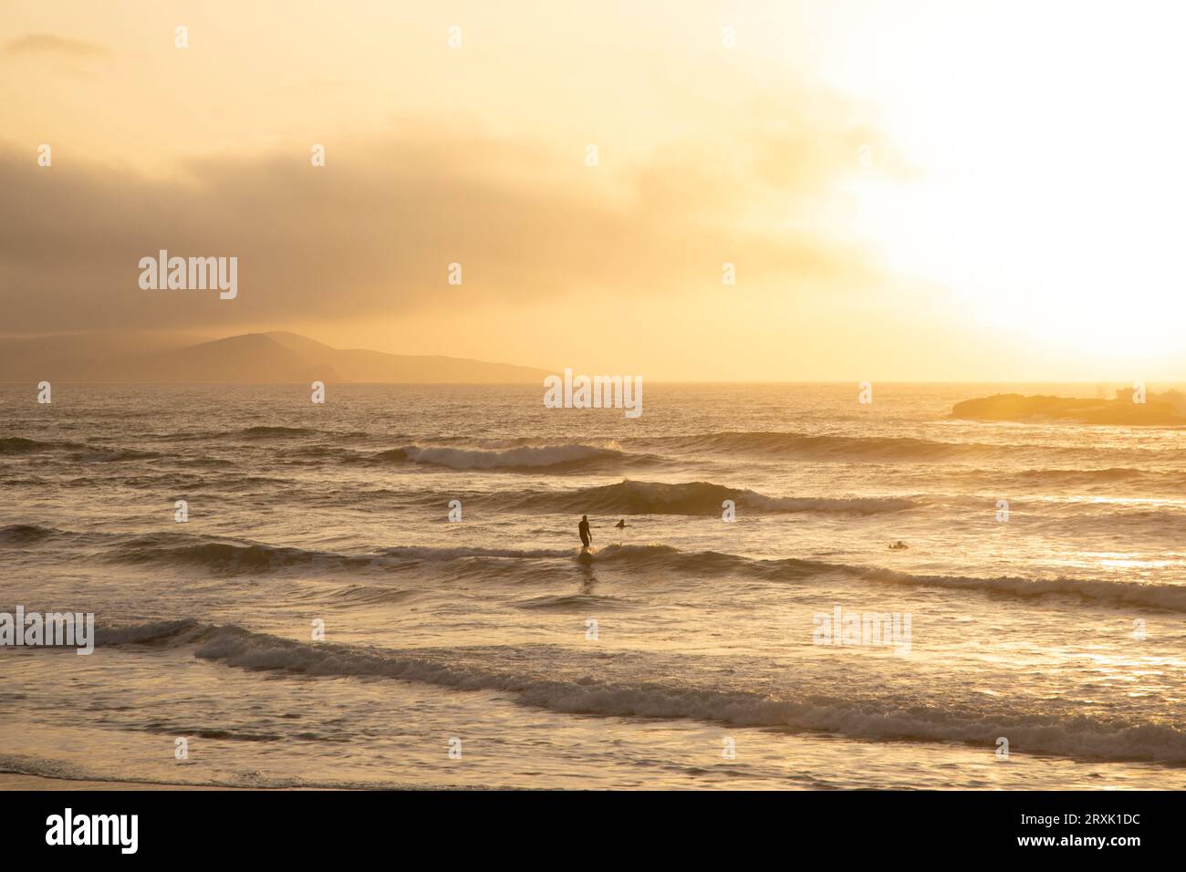 Gouttes d'eau sur une surface Banque D'Images