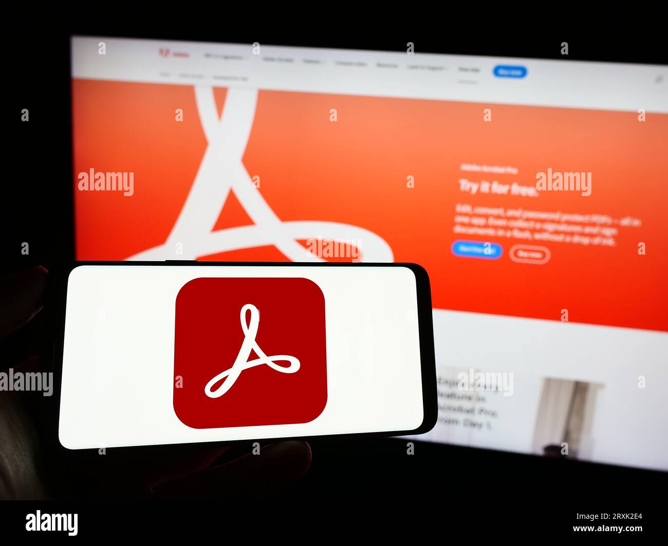 Personne tenant le téléphone mobile avec le logo du logiciel de gestion PDF Adobe Acrobat sur l'écran devant la page Web de l'entreprise. Concentrez-vous sur l'affichage du téléphone. Banque D'Images