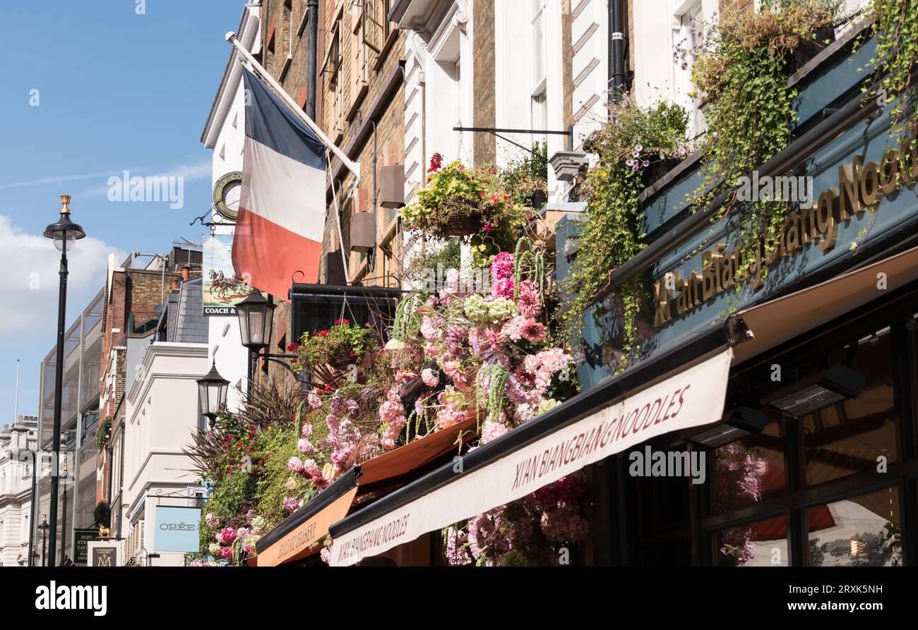 Traditionnelle Boulevard Brasserie sur Wellington Street, Covent Garden, Londres, WC2, Angleterre, ROYAUME-UNI Banque D'Images