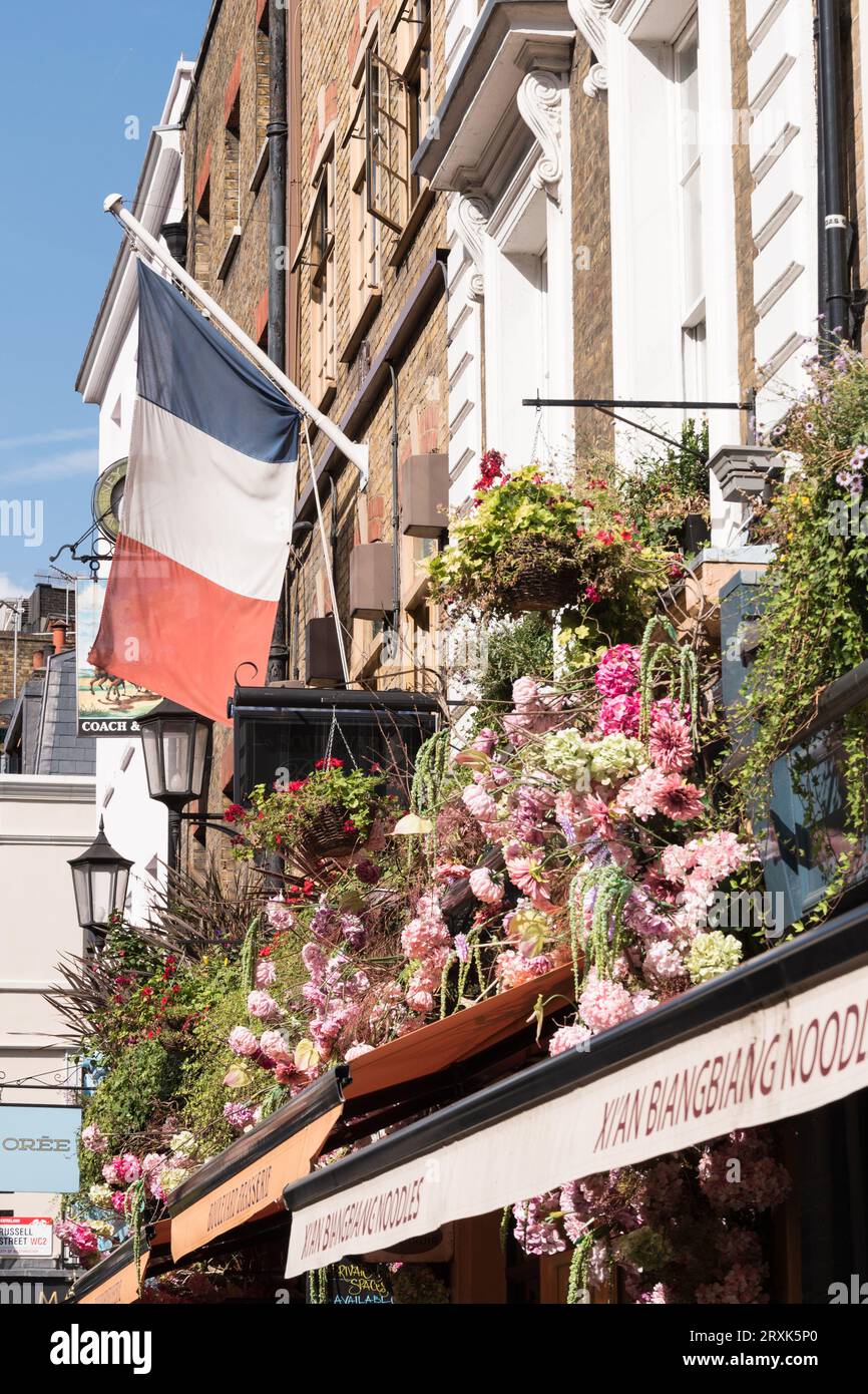 Traditionnelle Boulevard Brasserie sur Wellington Street, Covent Garden, Londres, WC2, Angleterre, ROYAUME-UNI Banque D'Images