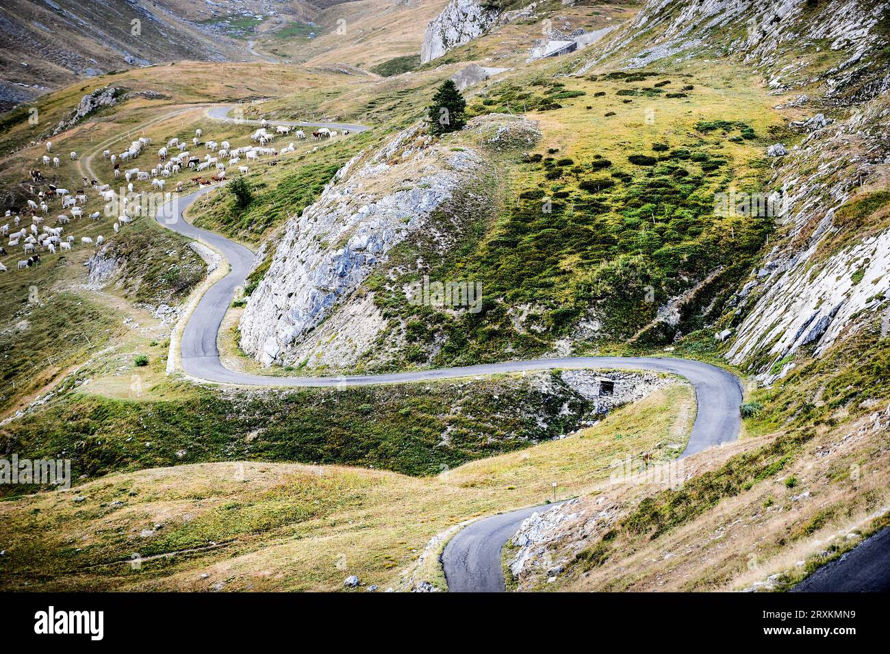 Route à travers Colle Fauniera en Piémont, Italie Banque D'Images