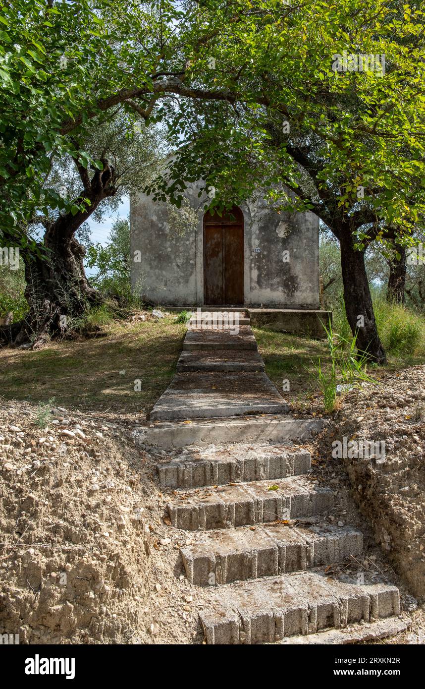 envol de marches de pierre menant à un chemin bordé d'arbres menant à une petite église orthodoxe sur l'île grecque de zante ou zakynthos en grèce Banque D'Images