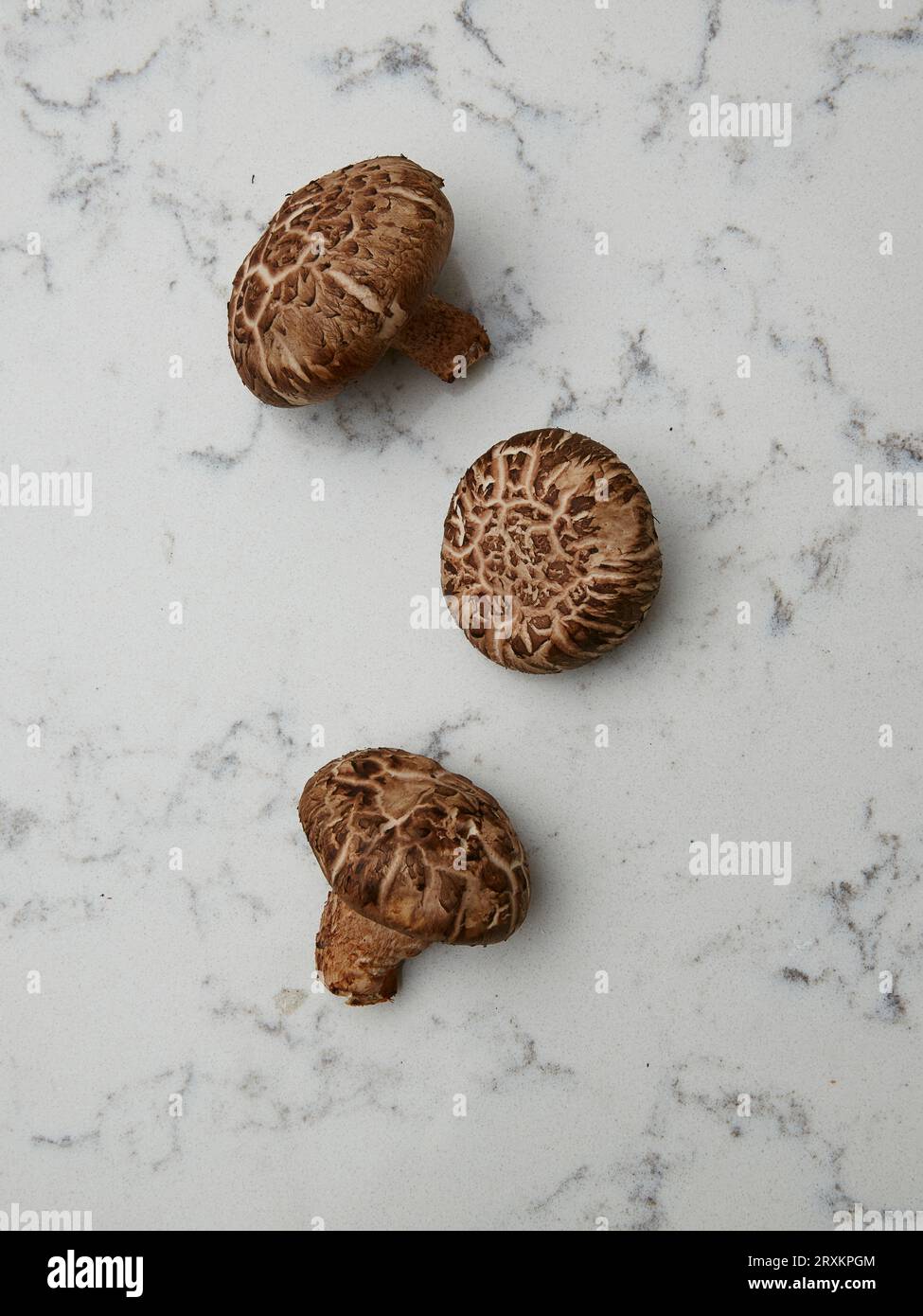 Sur les champignons en Banque D'Images