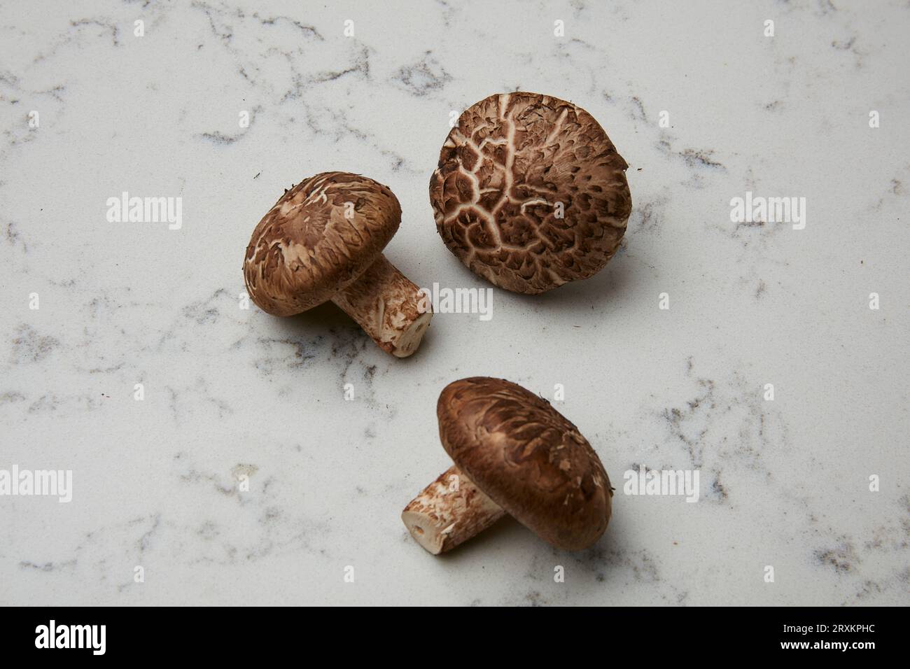 Sur les champignons en Banque D'Images