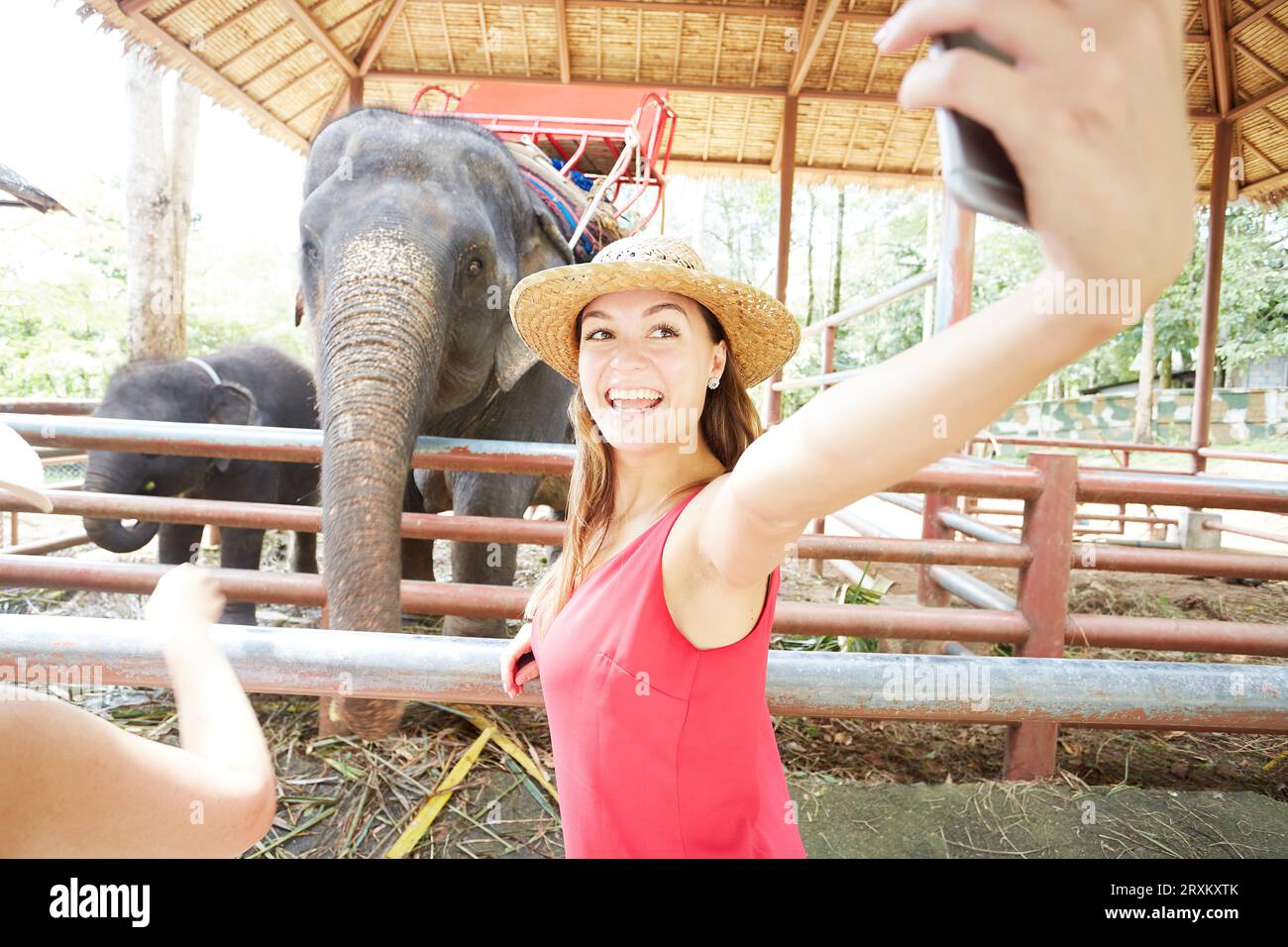 Jeune femme en tenant à côté des éléphants en selfies Ko Samui, Thaïlande Banque D'Images