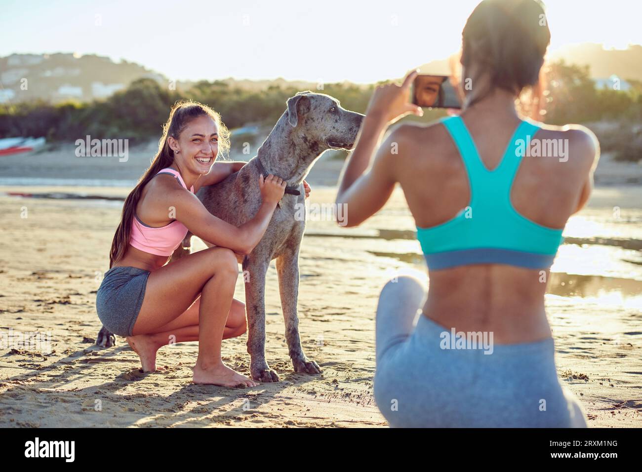 Young woman petting dog pendant que son ami se photographie Banque D'Images