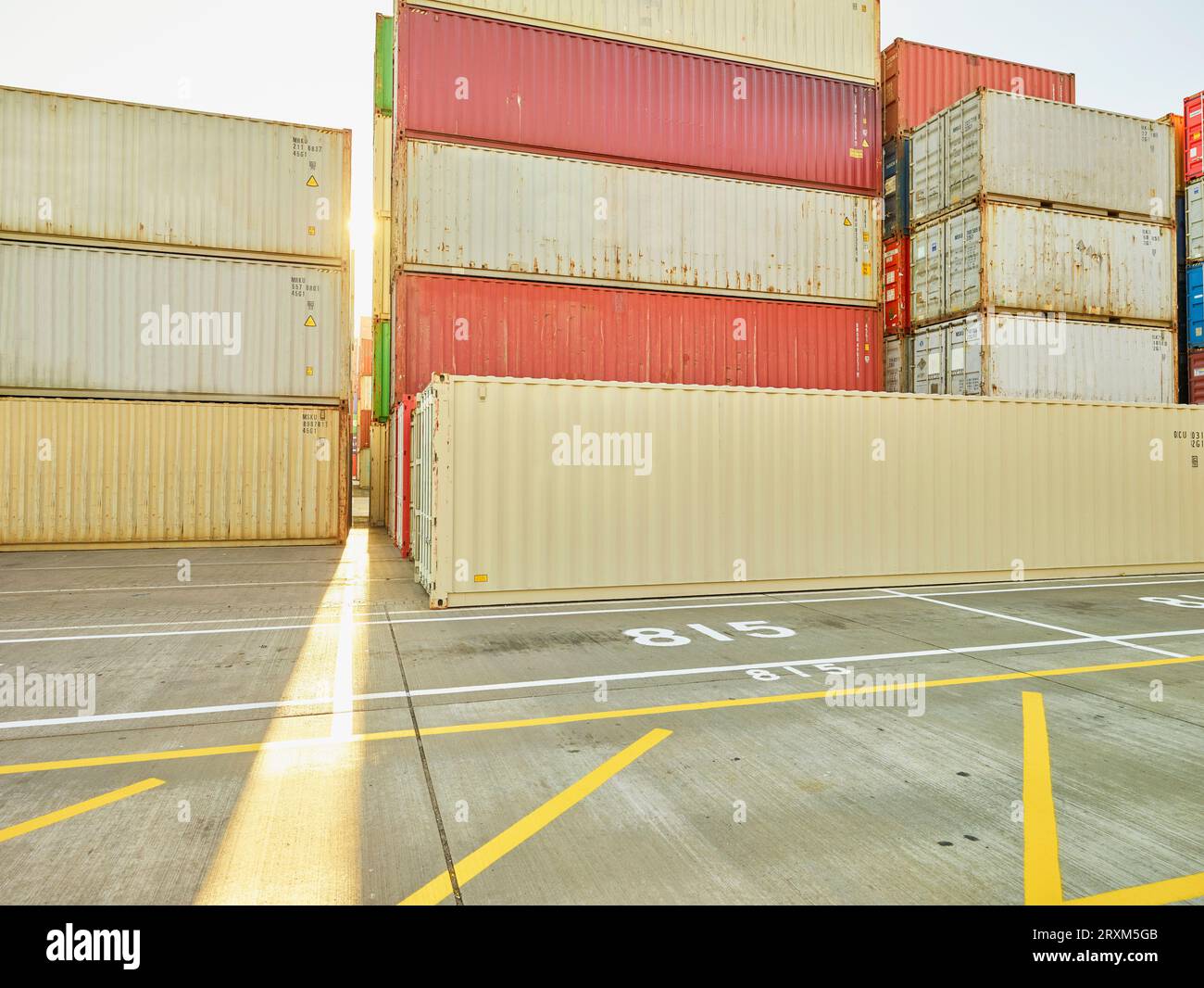 Les piles de conteneurs au port de Felixstowe, England Banque D'Images