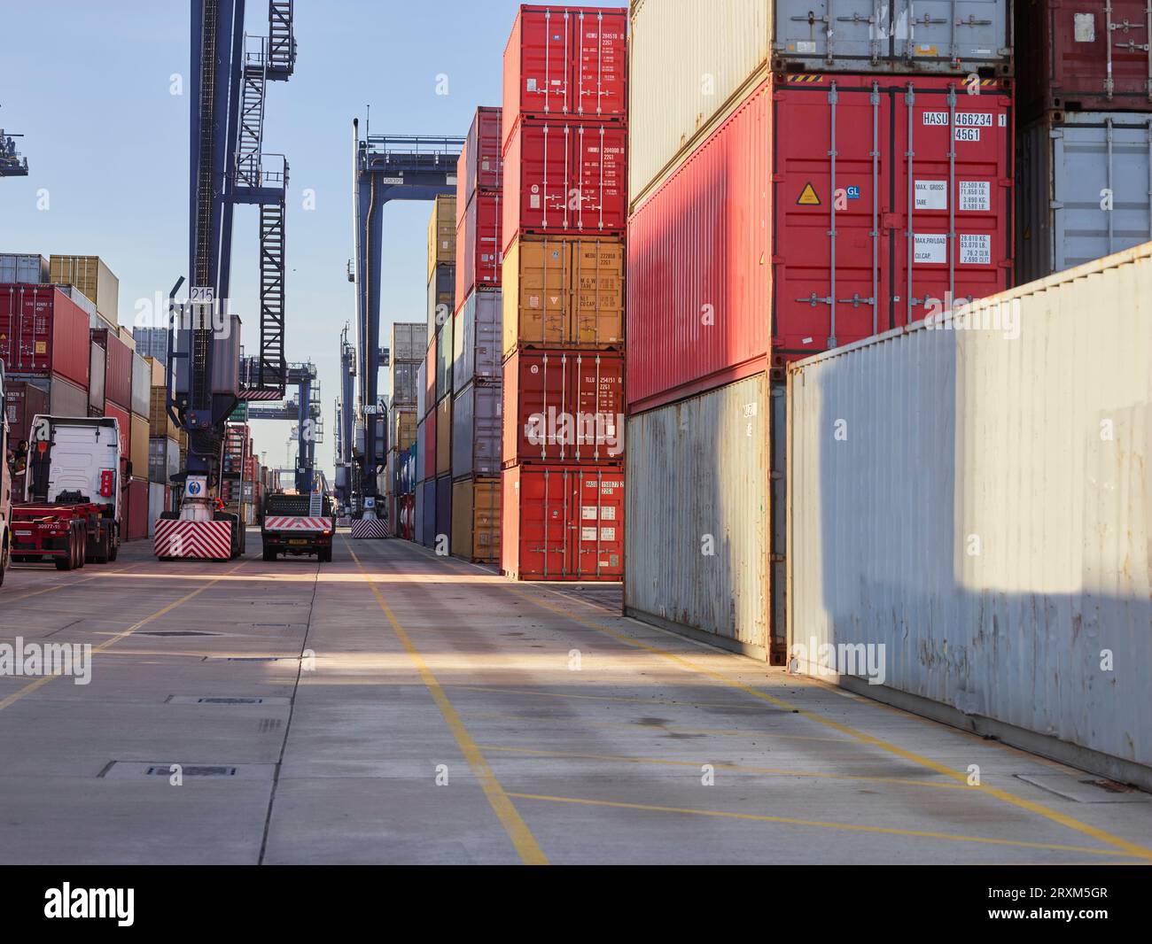 Les piles de conteneurs au port de Felixstowe, England Banque D'Images