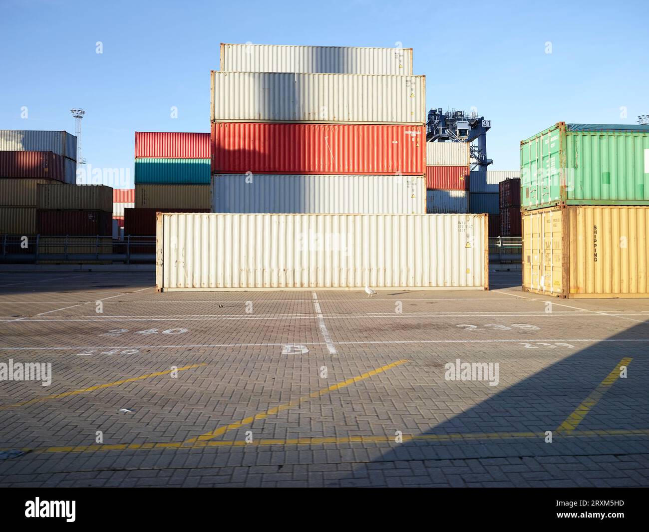 Les piles de conteneurs au port de Felixstowe, England Banque D'Images