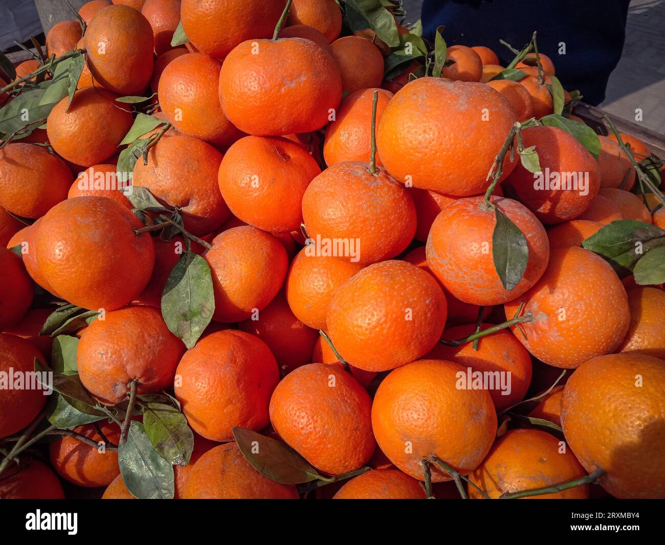 Stalle de mandarine. La mandarine est un type d'agrumes de couleur orange. Étal orange sur le marché. Street food. Décrochage de mandarine. Orange Stal Banque D'Images