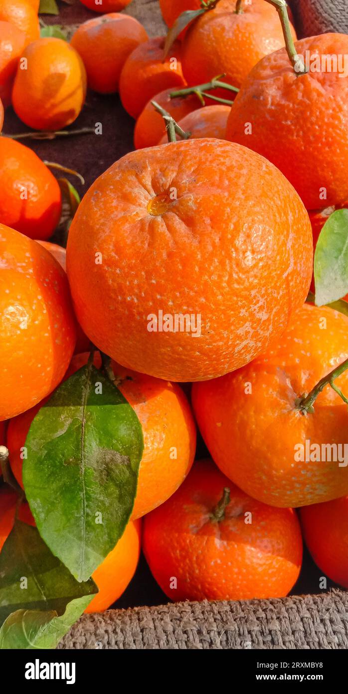 Stalle de mandarine. La mandarine est un type d'agrumes de couleur orange. Étal orange sur le marché. Street food. Décrochage de mandarine. Orange Stal Banque D'Images