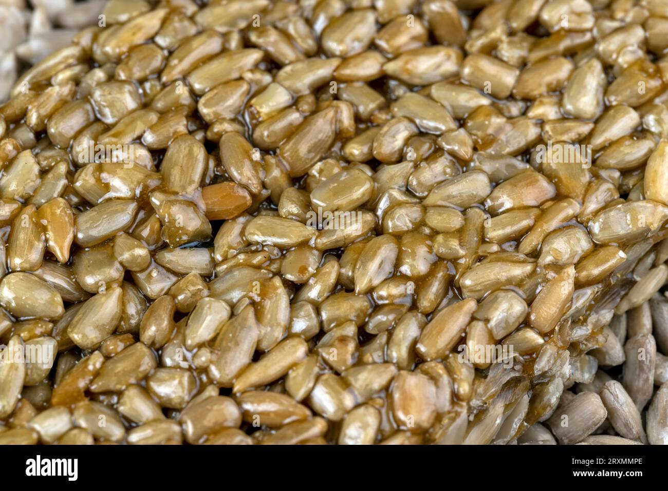 Graines de tournesol frites à la mélasse sucrée de betterave à sucre, délicieux kozinak oriental à base de graines de tournesol, mélasse et miel Banque D'Images