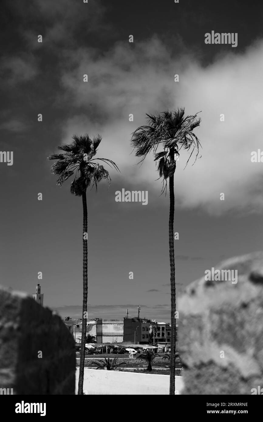 Maroc, 2018. Banque D'Images