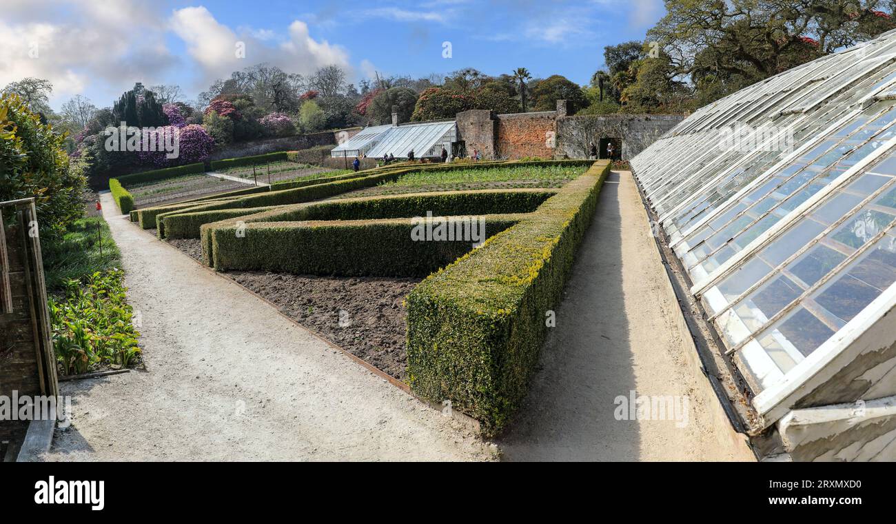 Maisons vertes et jardin de produire dans le jardin de cuisine aux jardins perdus de Heligan, Pentewan, St.Austell, Cornouailles, Angleterre, ROYAUME-UNI Banque D'Images