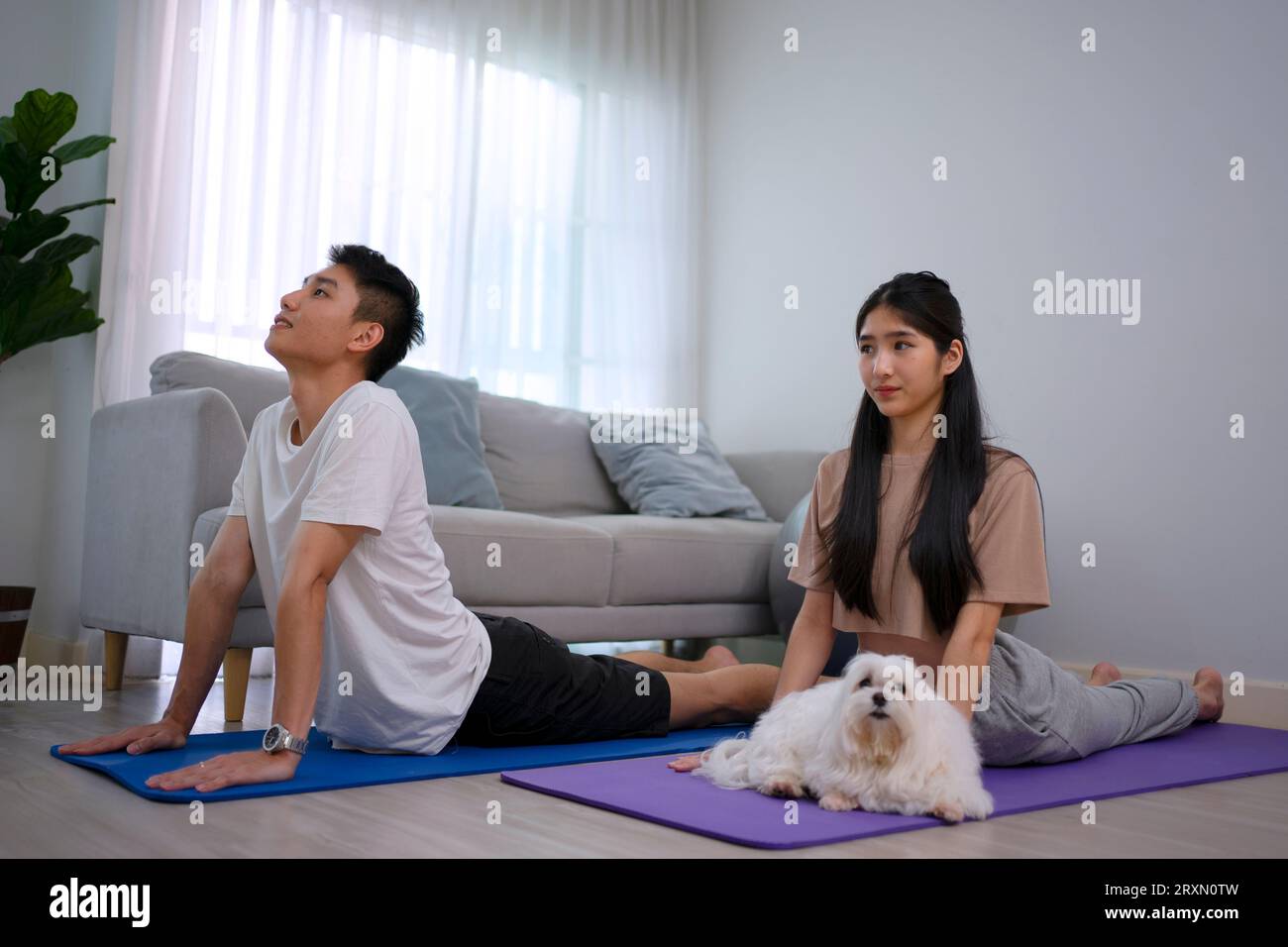 Un jeune couple joue au yoga à la maison. Concept de style de vie et d'activités de loisirs. Banque D'Images