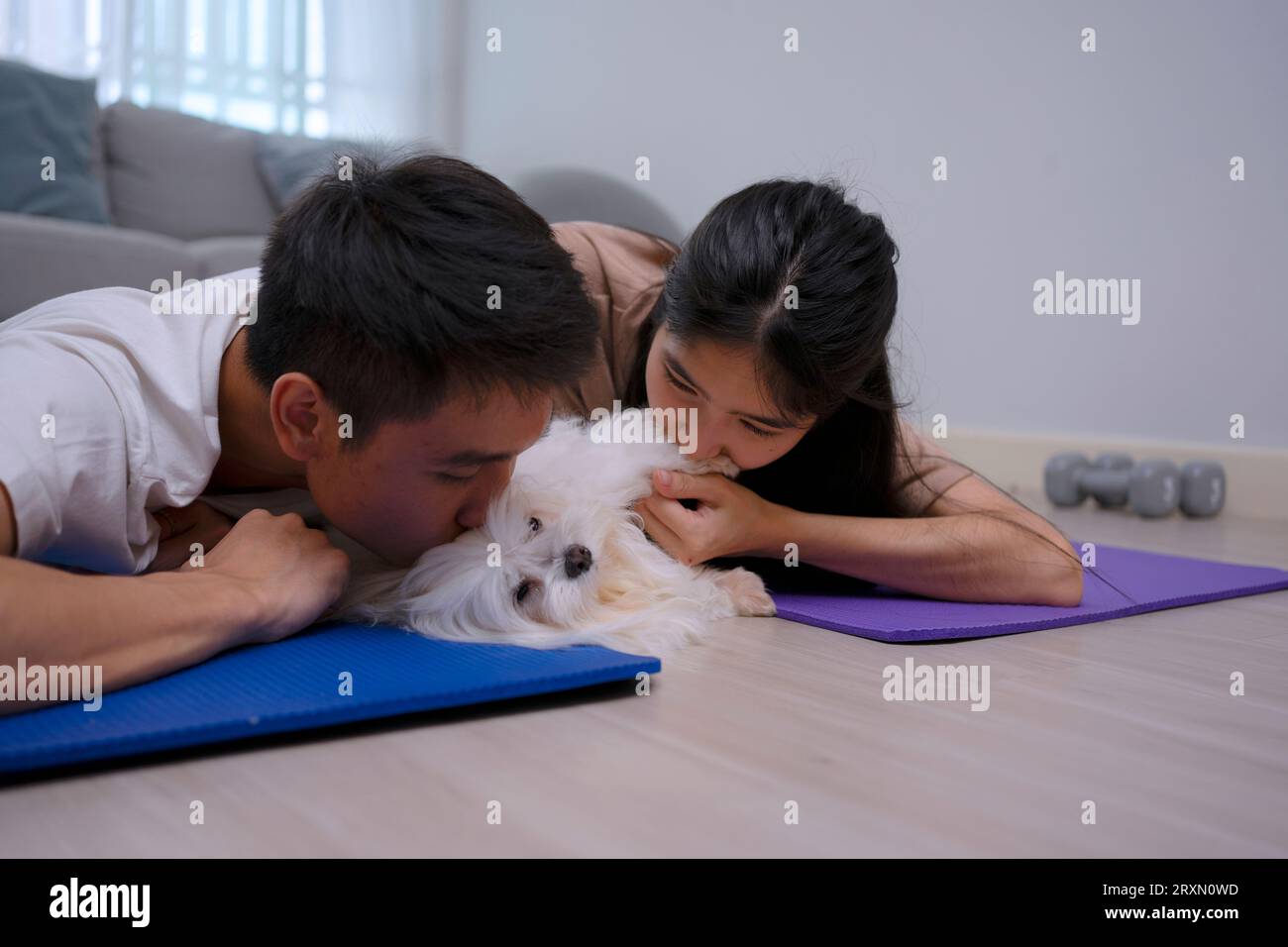 Jeune couple prendre soin de leur chien à la maison. Concept de style de vie et d'activités de loisirs. Banque D'Images
