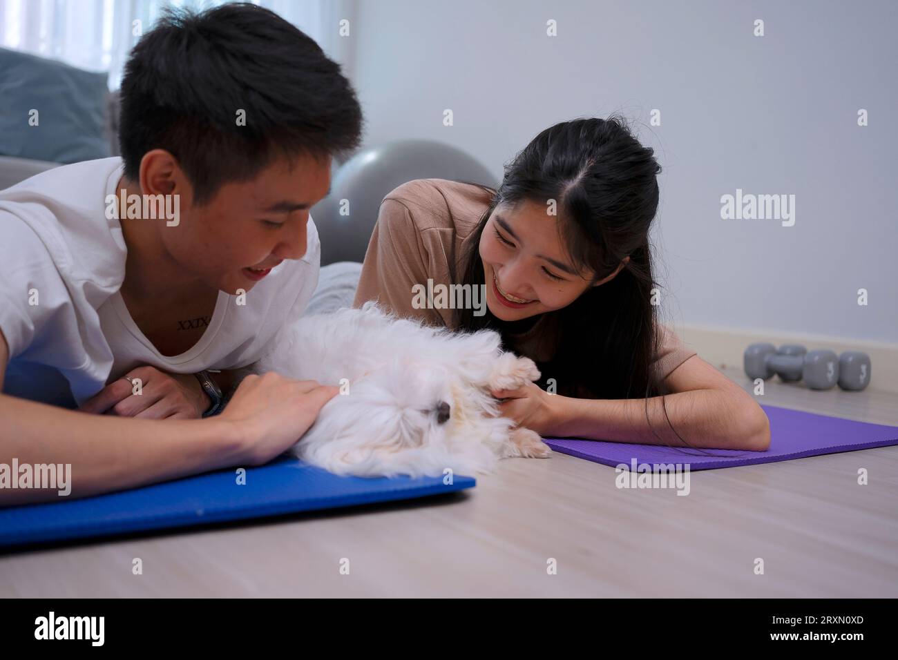 Jeune couple prendre soin de leur chien à la maison. Concept de style de vie et d'activités de loisirs. Banque D'Images