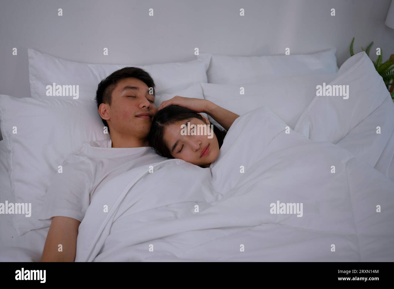 Jeune couple ensemble dans la chambre avec chien. Concept de style de vie et d'activités de loisirs. Banque D'Images