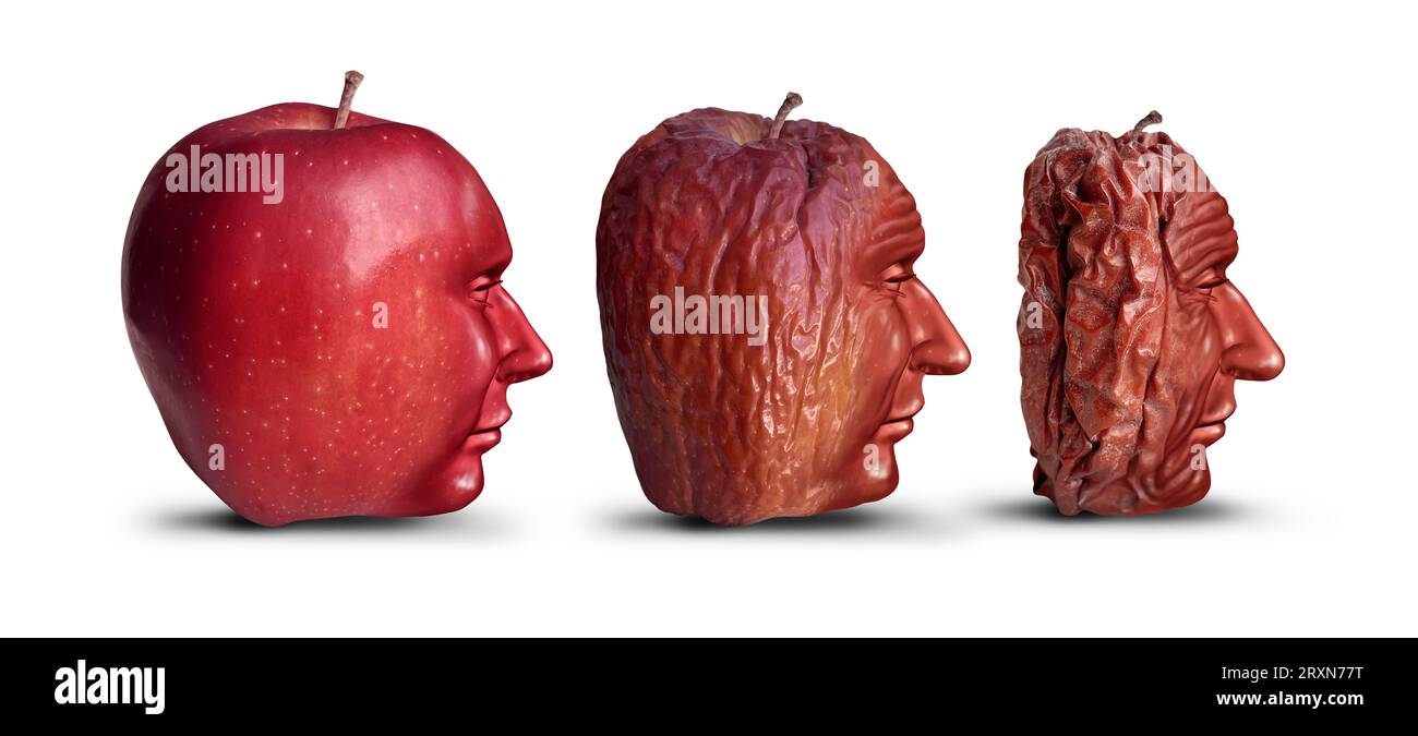 Vieillissement et vieillissement processus comme une nouvelle pomme rouge mûre fraîche se décomposant et vieillissant et ridé représentant les humains et la progression de l'âge ou les personnes âgées Banque D'Images