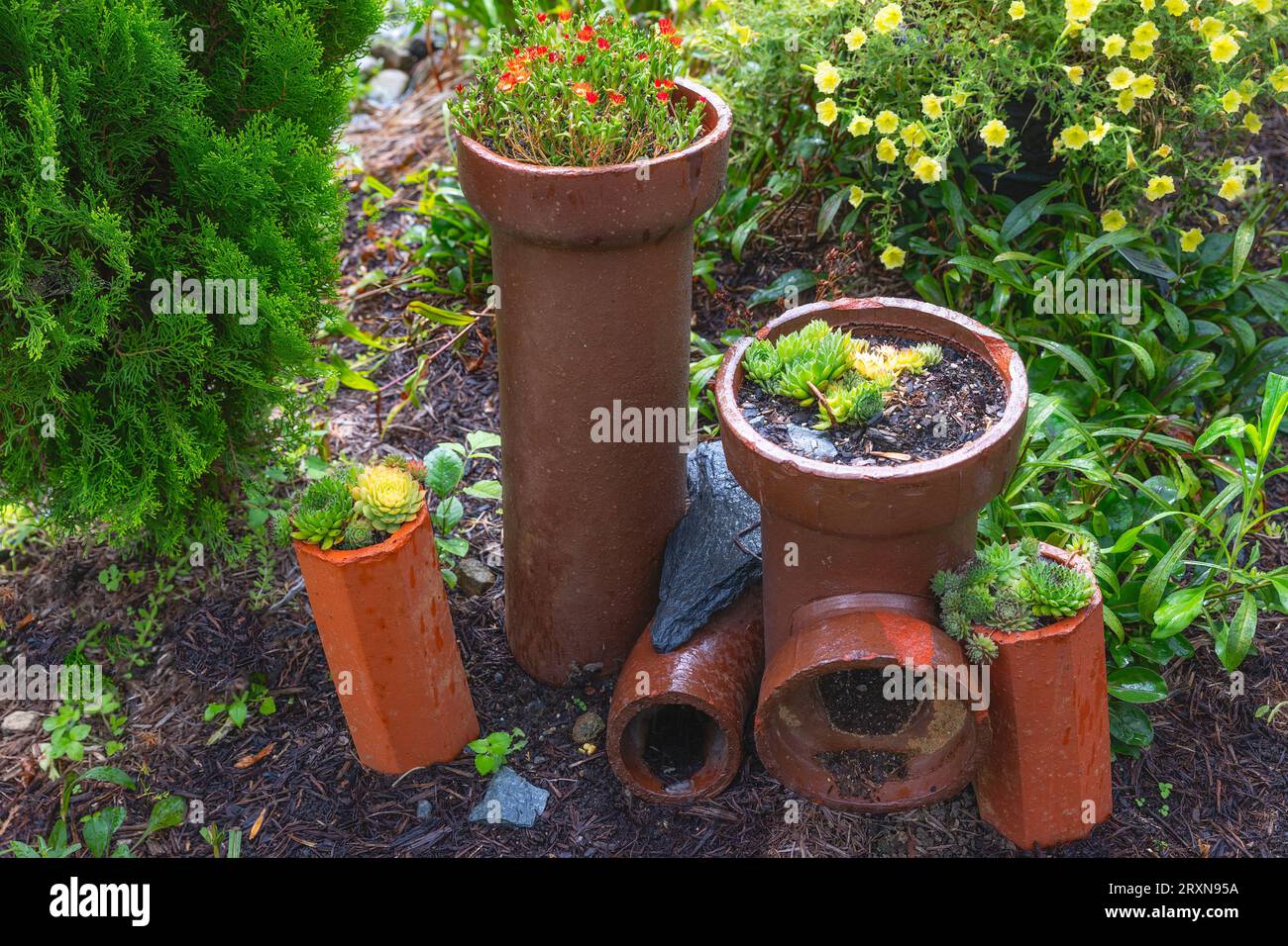 Scences et gros plans de plantes et de fleurs avec dans ce jardin public. Banque D'Images