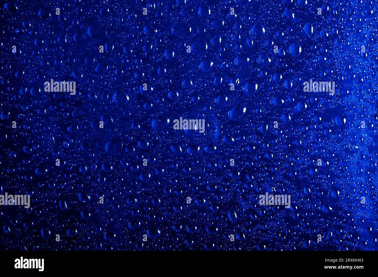 De nombreuses gouttes d'eau sur un fond bleu foncé Banque D'Images