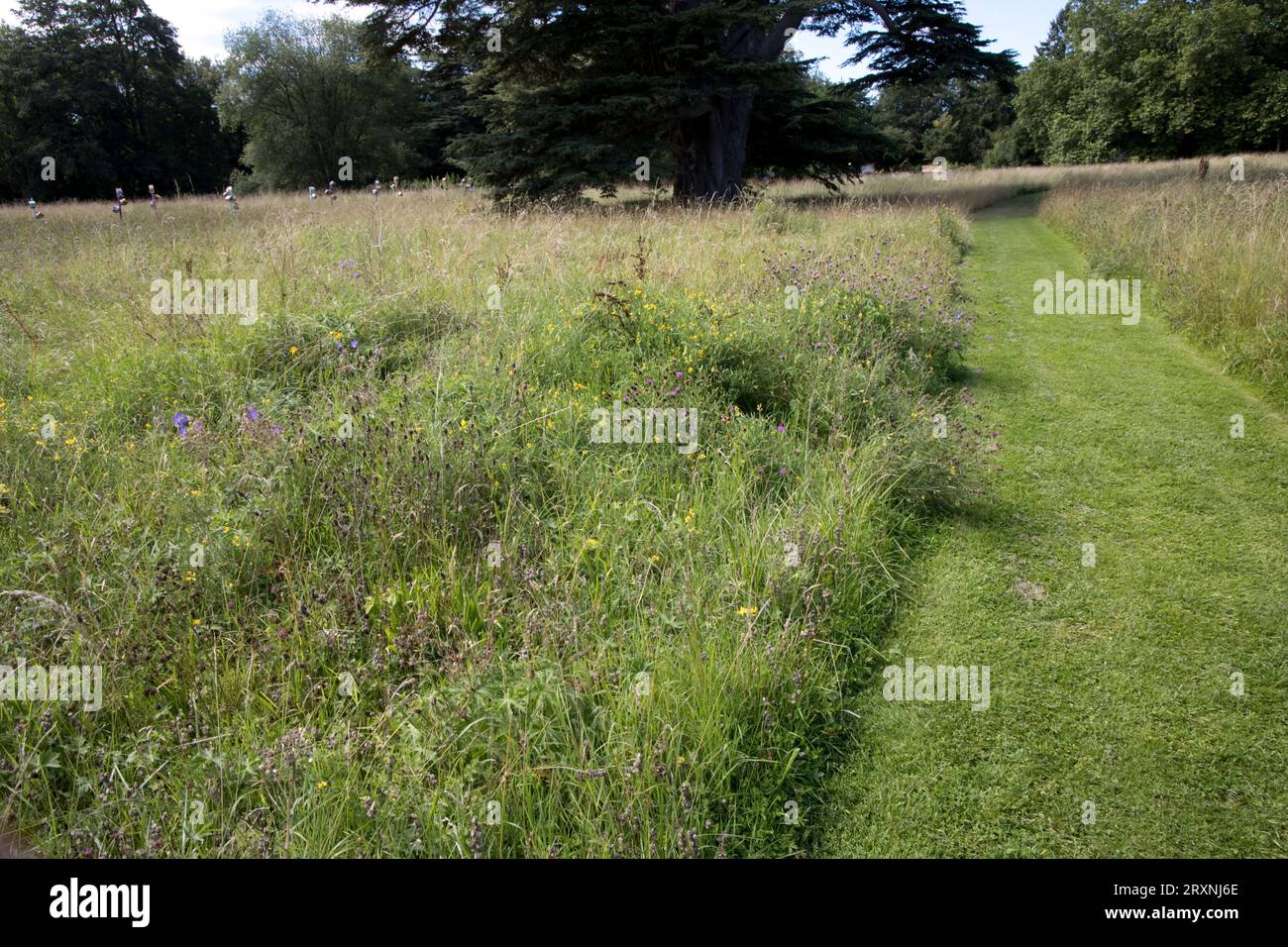 Prairies de fleurs sauvages avec des chemins coupés à Compton Verney manoir du 18e siècle maintenant une galerie d'art nationale indépendante et un lac situé dans une capacité Bro Banque D'Images