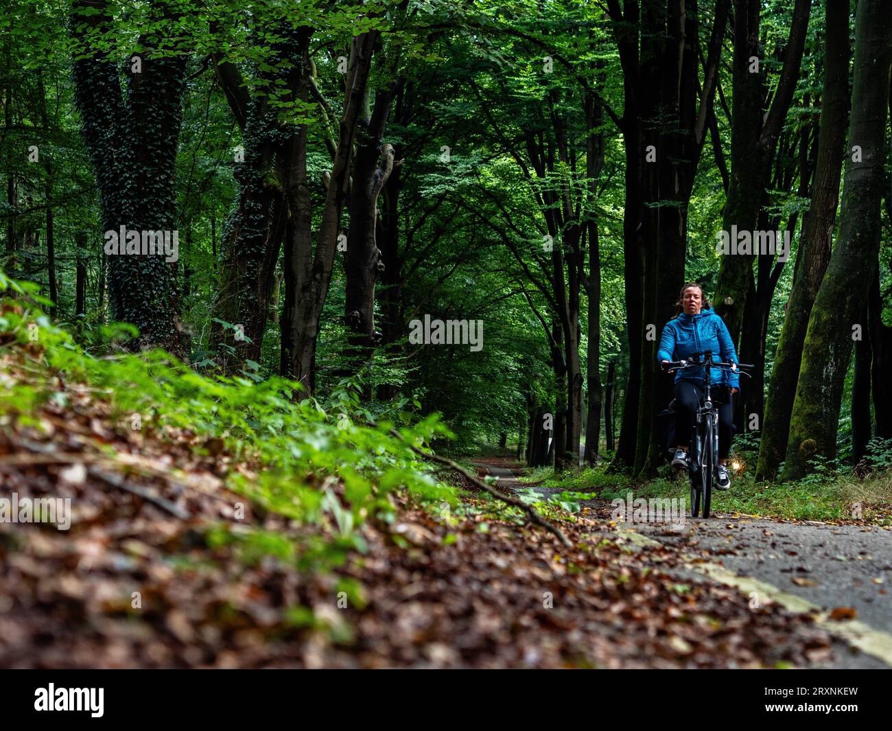 Nijmegen, Gelderland, pays-Bas. 23 septembre 2023. Une femme est vue à vélo le long d'une piste cyclable dans la forêt. Avec l'arrivée de l'automne ce week-end, les gens ont pu profiter des températures chaudes dans la campagne en prenant leurs vélos ou la randonnée le long des digues et des forêts. Les animaux de la ferme apprécient également le pâturage. (Image de crédit : © Ana Fernandez/SOPA Images via ZUMA Press Wire) USAGE ÉDITORIAL SEULEMENT! Non destiné à UN USAGE commercial ! Banque D'Images