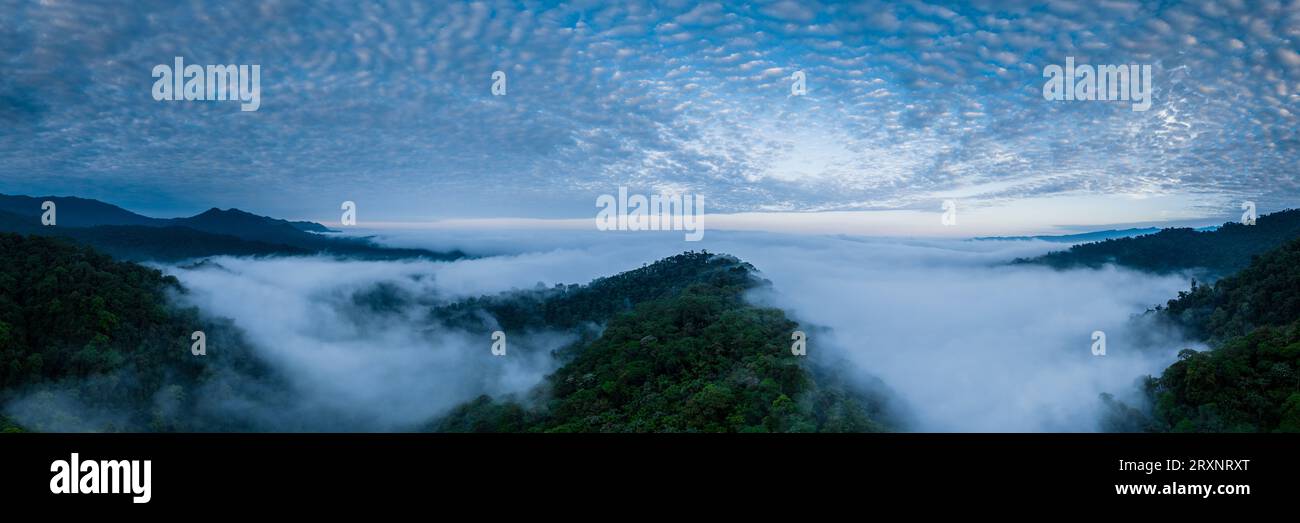Vue drone de la forêt tropicale dans la réserve de Mashpi Amagusa, province de Pichincha, Équateur Banque D'Images