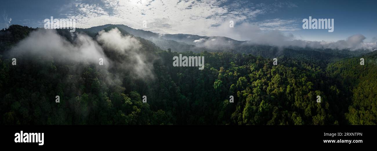 Vue drone de la forêt tropicale dans la réserve de Mashpi Amagusa, province de Pichincha, Équateur Banque D'Images