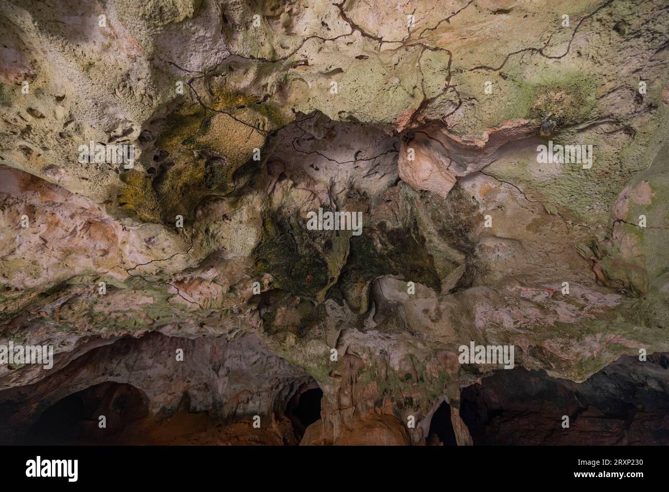 Vue rapprochée de la texture rocheuse à l'intérieur des grottes de Quadirikiri à Aruba. Banque D'Images