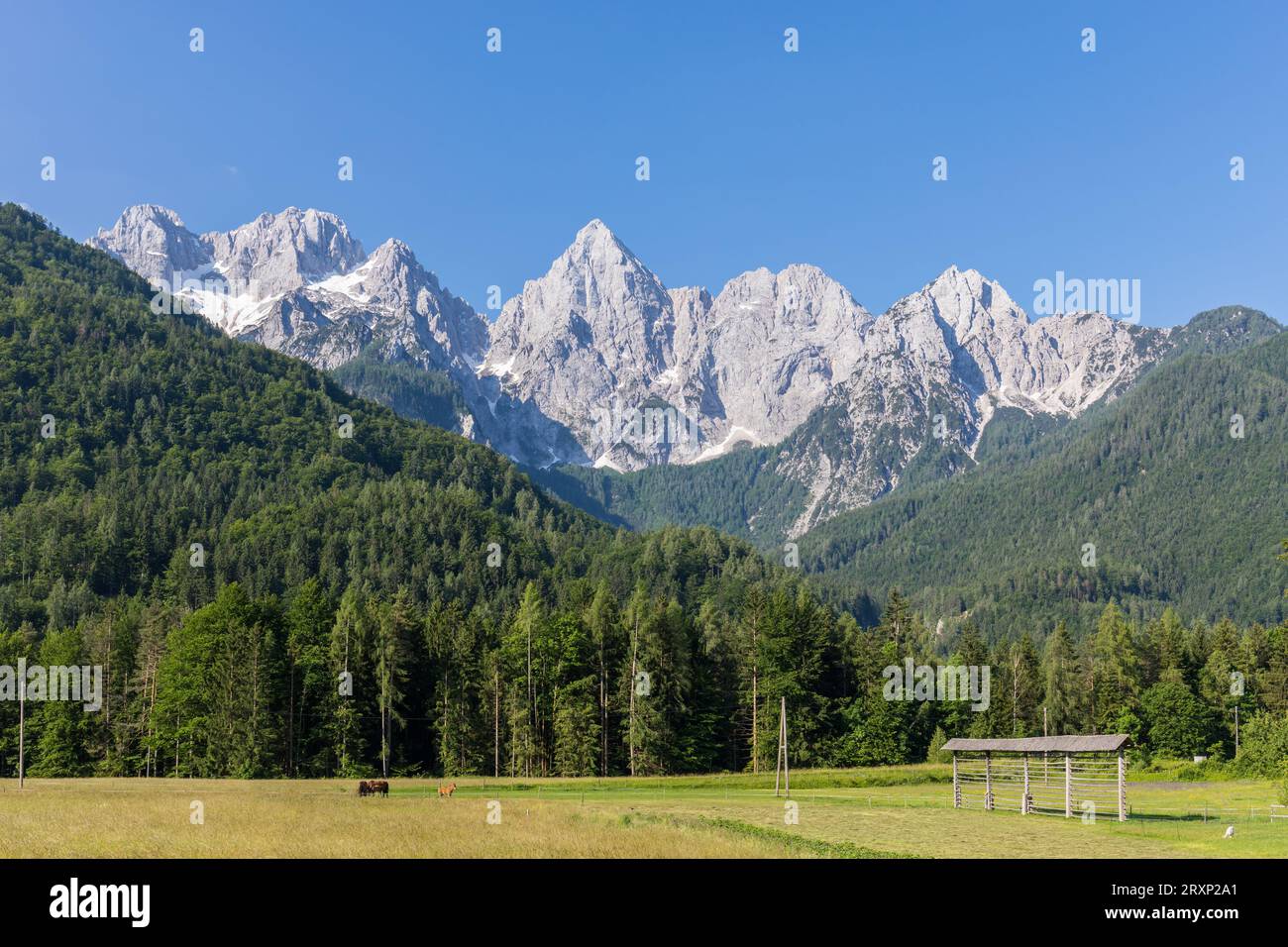 Mont Spik et groupe de montagnes Martuljek, Alpes juliennes, Slovénie Banque D'Images