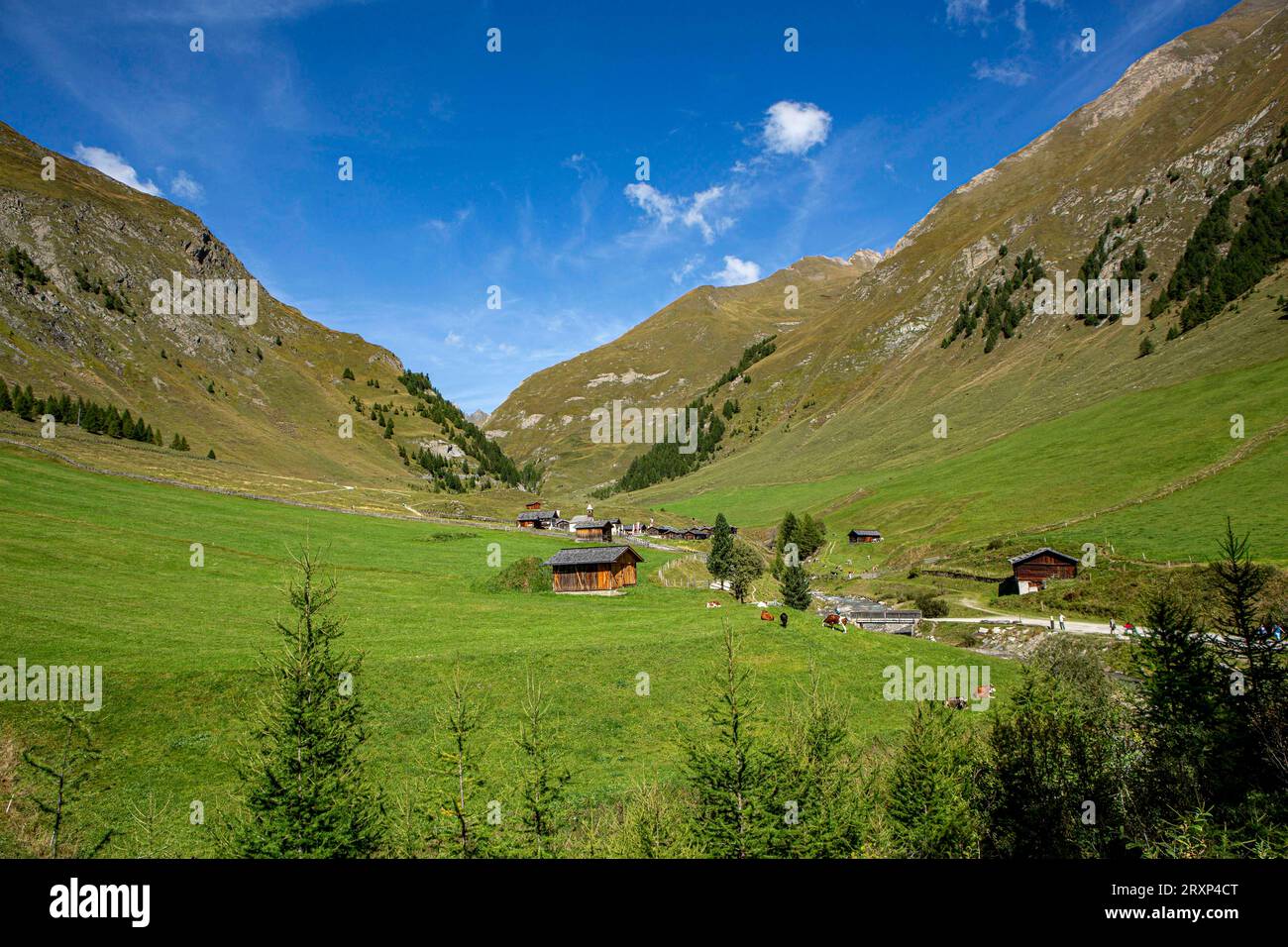 Die Fane Alm im hinteren Valler Tal Südtirol Italien ist ein Almdorf, das im Mittelalter als Lazarett für Pest- und cholera-Kranke entstanden ist. Fane Alm *** le Fane Alm dans la vallée arrière de Valler Tyrol du Sud l'Italie est un village alpin qui a vu le jour au Moyen âge comme un hôpital pour la peste et le choléra malade Fane Alm crédit : Imago / Alamy Live News Banque D'Images