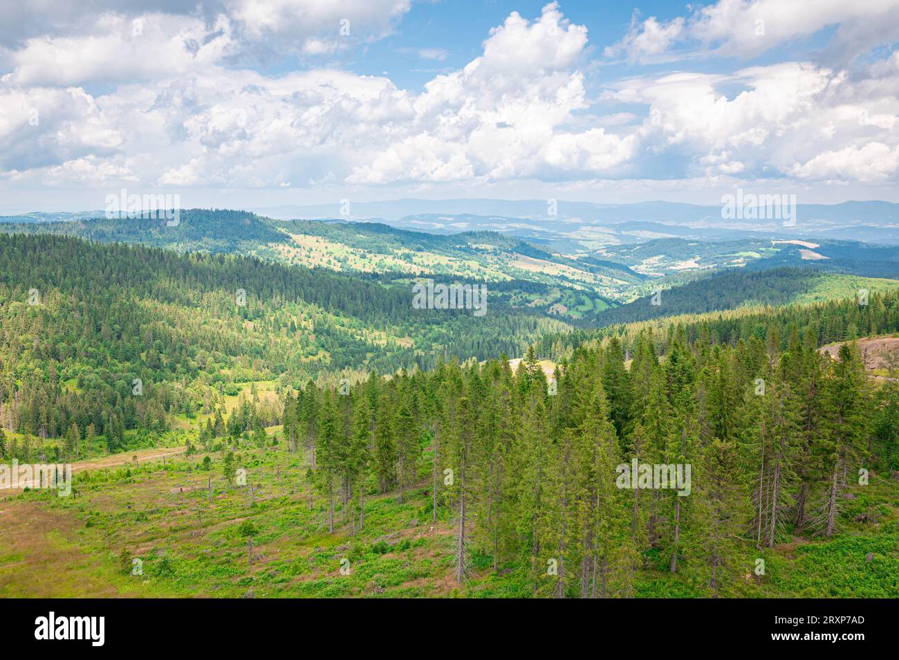 Vue panoramique du parc national de Pieniny, Europe centrale Banque D'Images