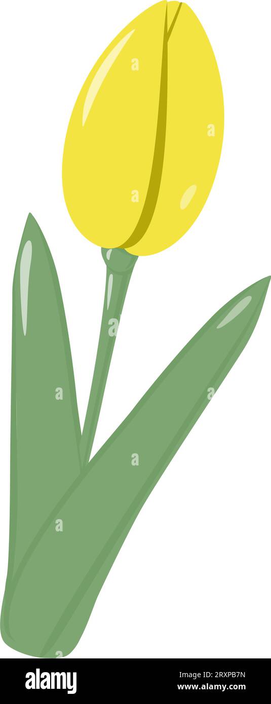 Fleur de tulipe jaune fleurie isolée pour bouquet dans des tons doux à la mode. Springime. Autocollant. Icône. Illustration vectorielle pour affiche, bannière, brochure, cartes de voeux ou d'invitation, prix , étiquette ou web Illustration de Vecteur