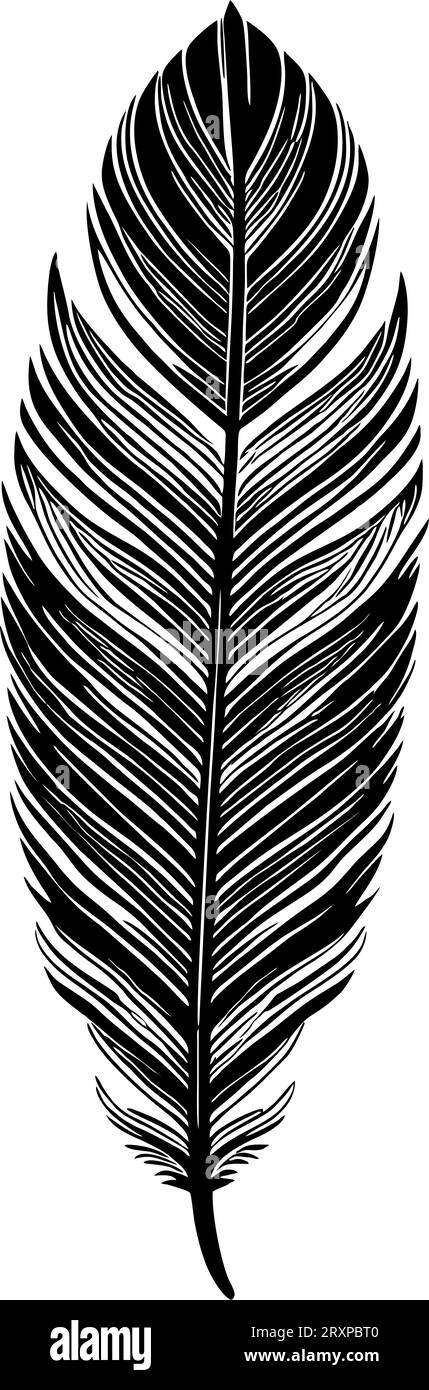 contour graphique noir représentant une plume d'oiseau, un logo, un motif Banque D'Images