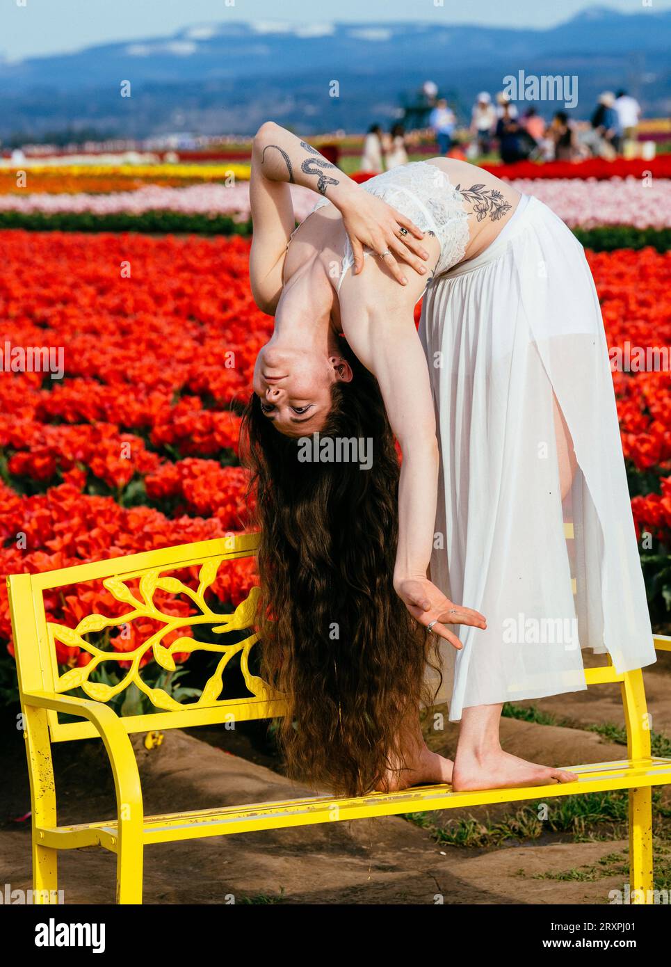 Brune aux cheveux longs se penchant vers l'arrière sur un banc devant un champ de tulipes Banque D'Images