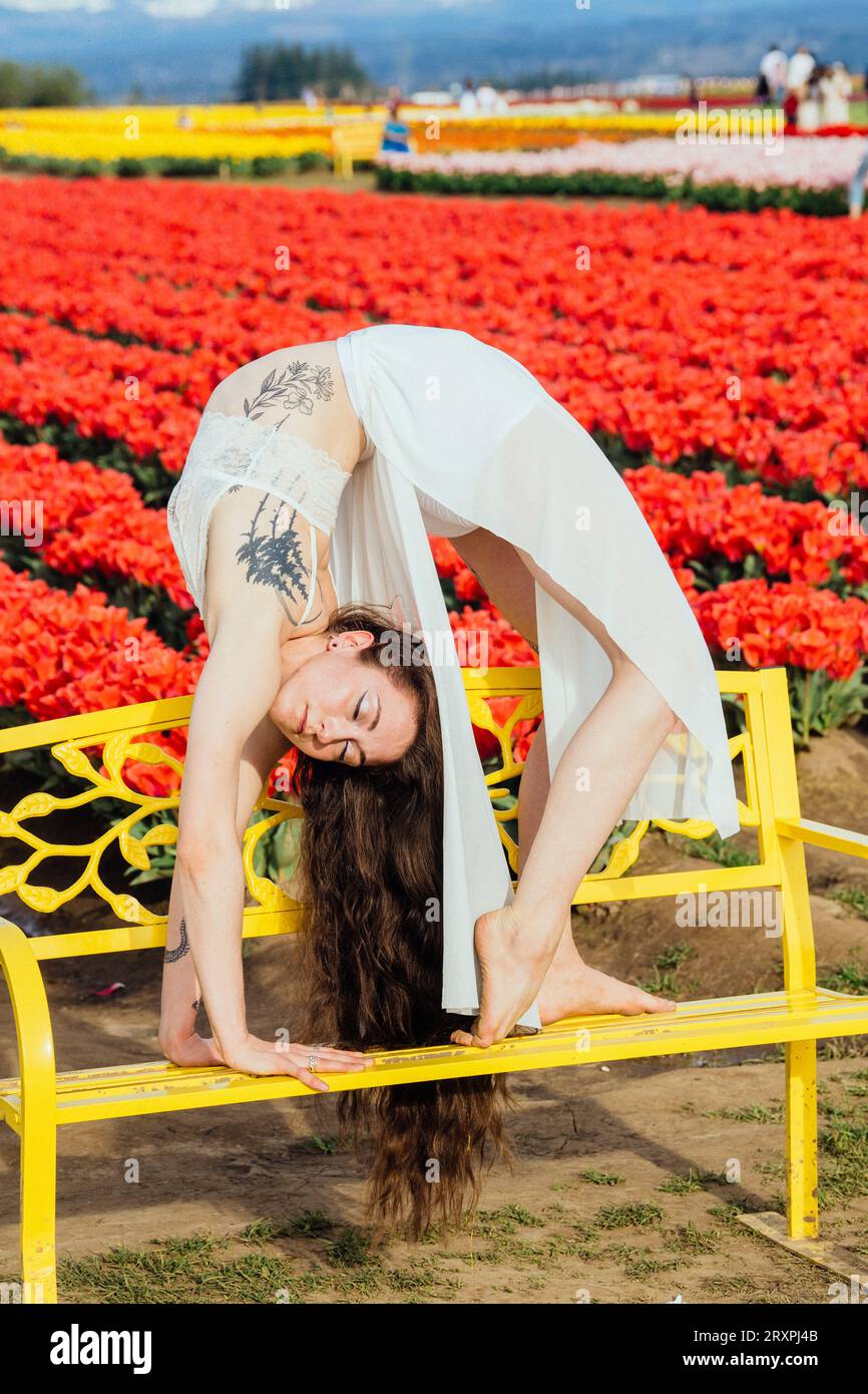 Brune aux cheveux longs se penchant vers l'arrière sur un banc devant un champ de tulipes Banque D'Images