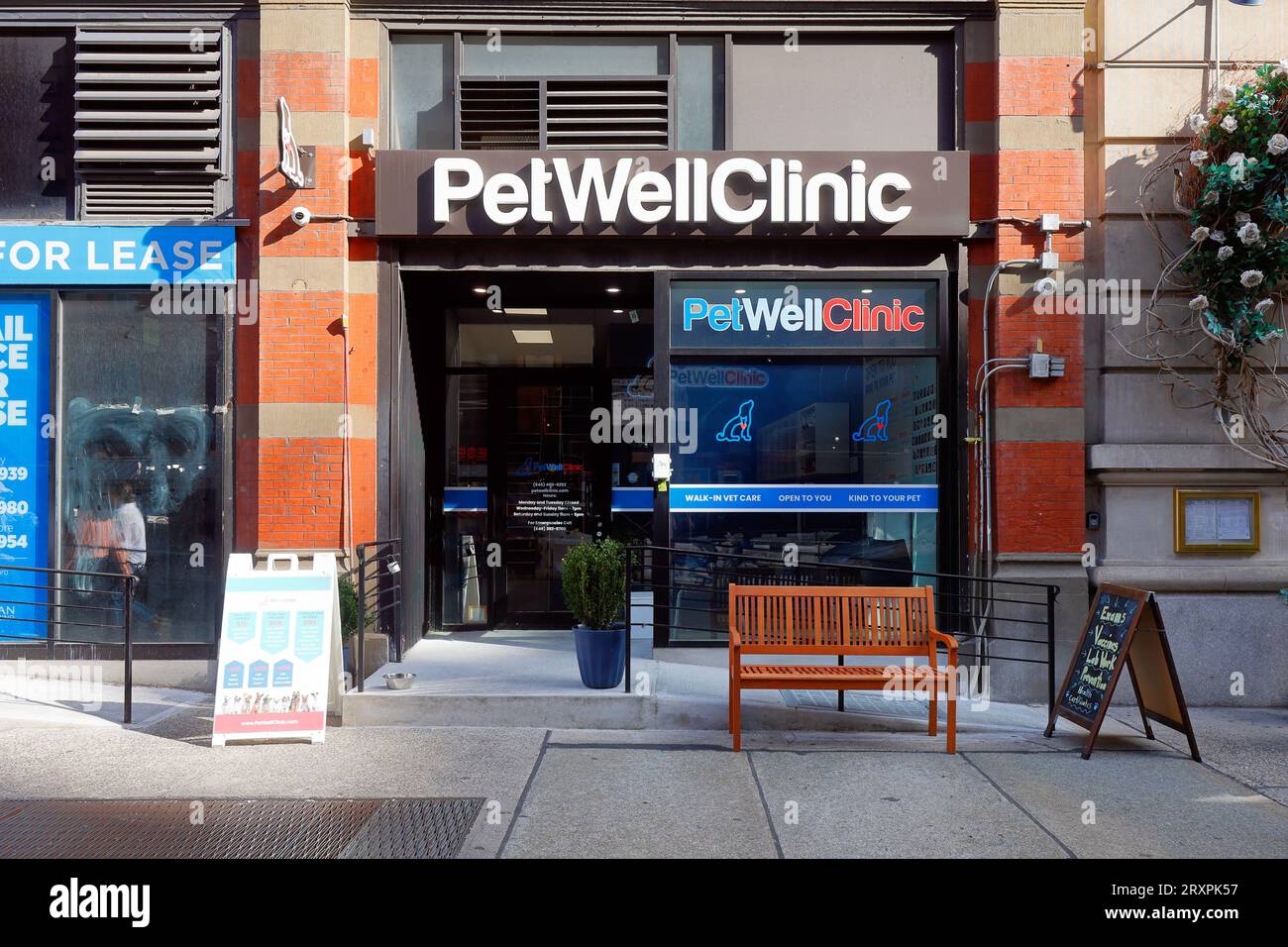 [Vitrine historique] PetWellClinic, 69 University PL, New York. Une promenade dans une clinique vétérinaire dans le Greenwich Village de Manhattan. Banque D'Images