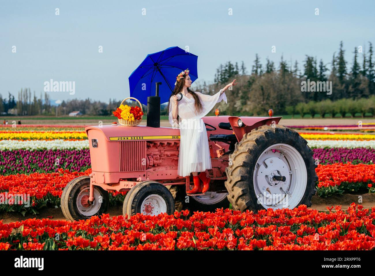 Femme faisant fendre sur le dessus du tracteur debout dans le vaste champ de tulipes Banque D'Images