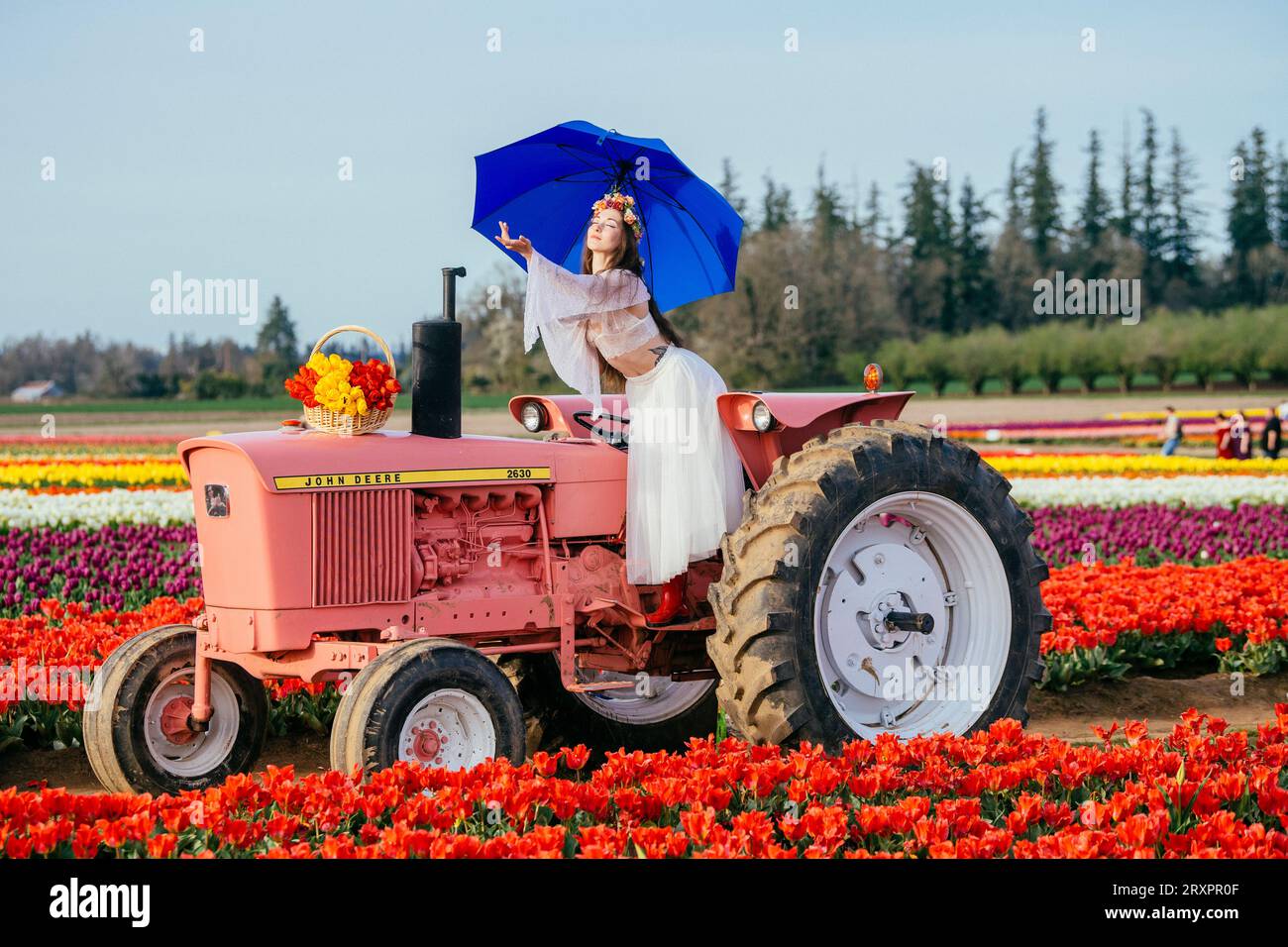 Femme faisant fendre sur le dessus du tracteur debout dans le vaste champ de tulipes Banque D'Images