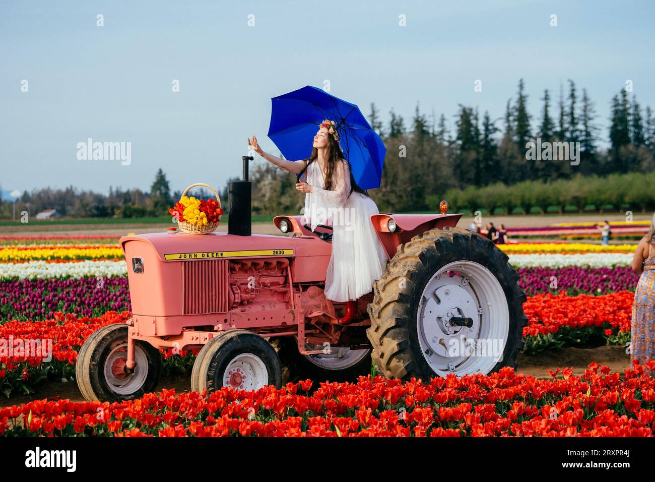 Femme faisant fendre sur le dessus du tracteur debout dans le vaste champ de tulipes Banque D'Images