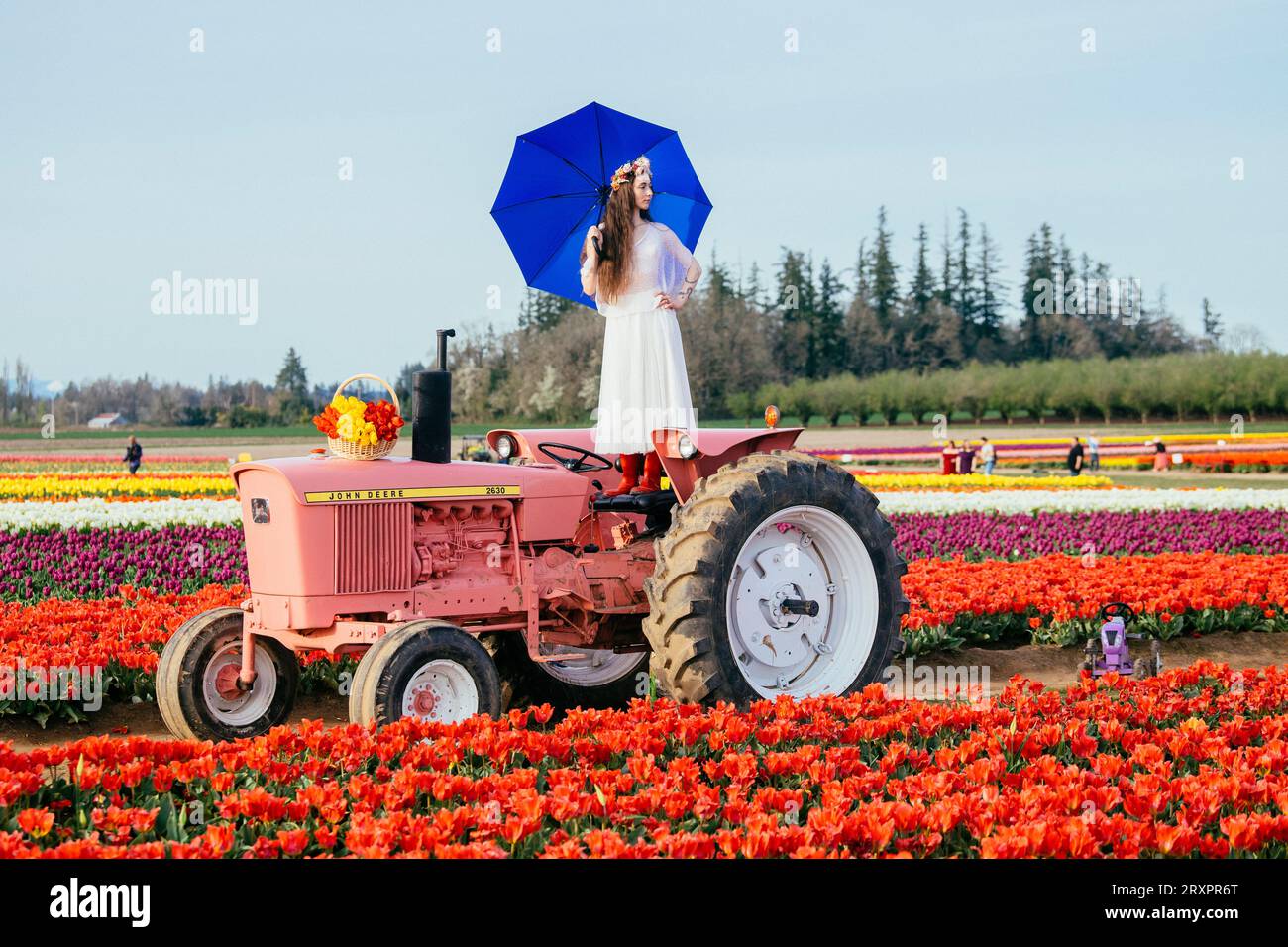 Femme faisant fendre sur le dessus du tracteur debout dans le vaste champ de tulipes Banque D'Images