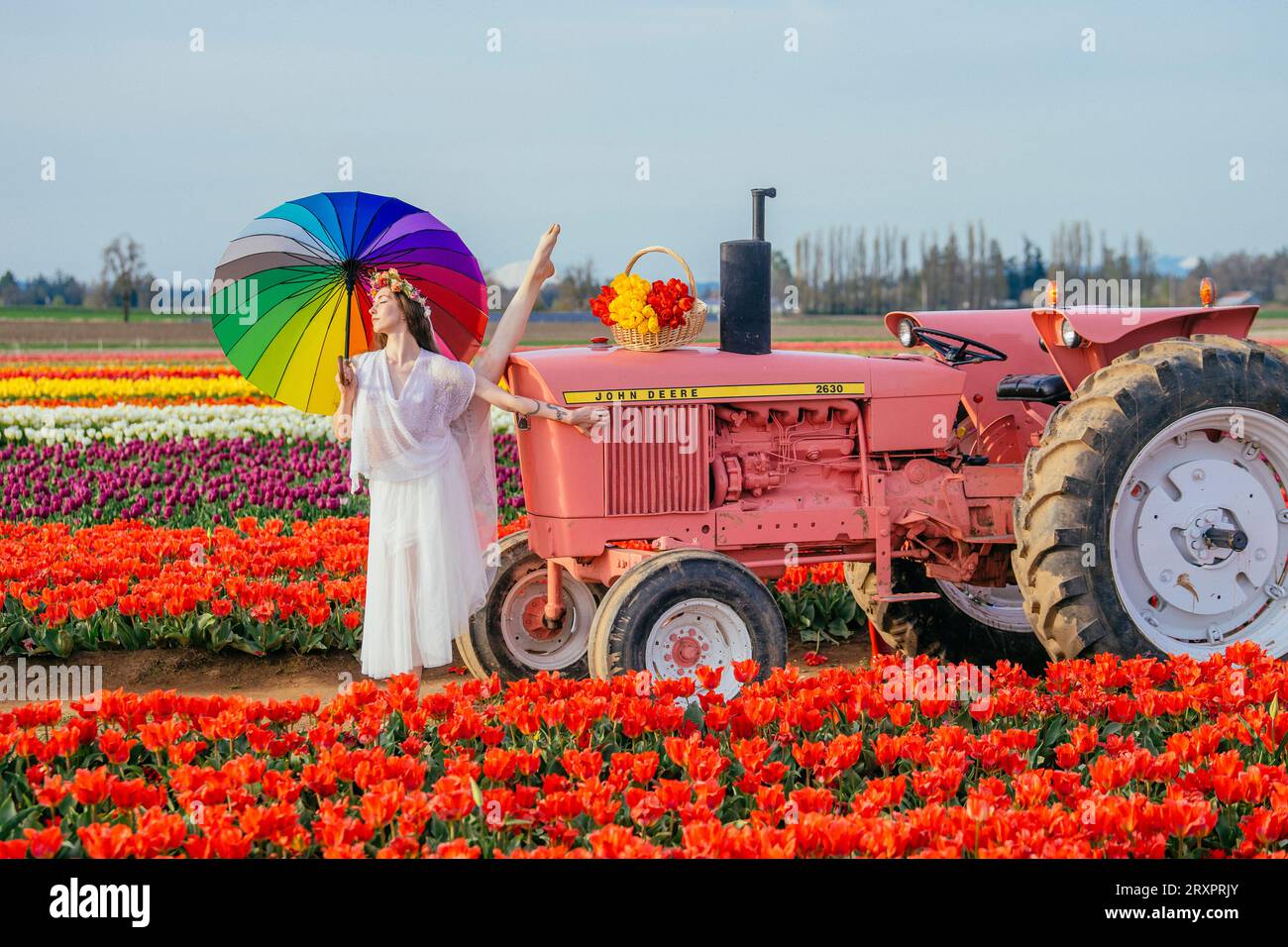 Femme tenant un parapluie coloré faisant fendre sur le dessus du tracteur rouillé Banque D'Images