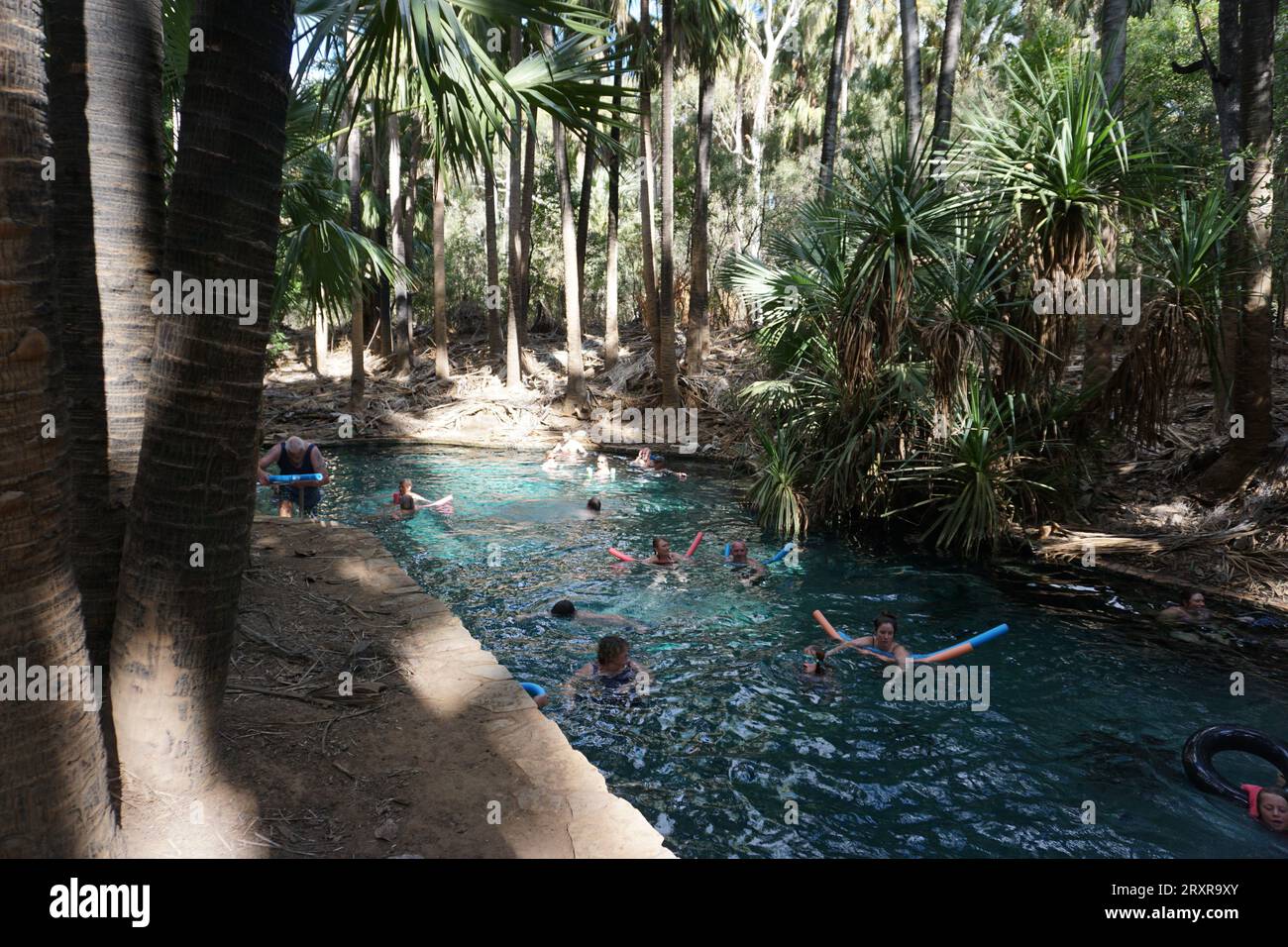 Des gens flottant dans l'eau avec des nouilles de piscine à Mataranka Thermal Pool et Rainbow Springs, territoire du nord, australie Banque D'Images
