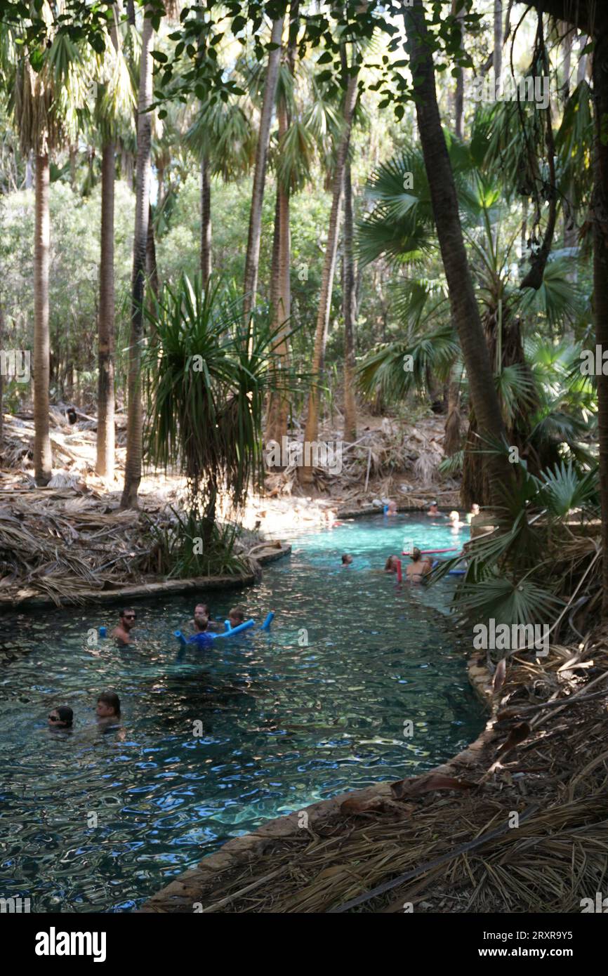 Des gens flottant dans l'eau avec des nouilles de piscine à Mataranka Thermal Pool et Rainbow Springs, territoire du nord, australie Banque D'Images